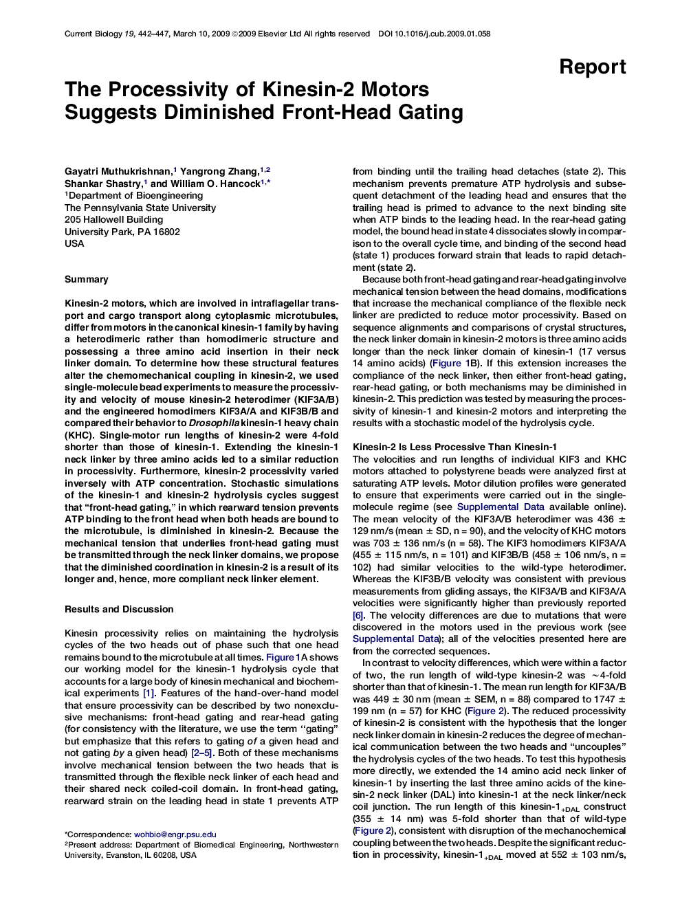 The Processivity of Kinesin-2 Motors Suggests Diminished Front-Head Gating