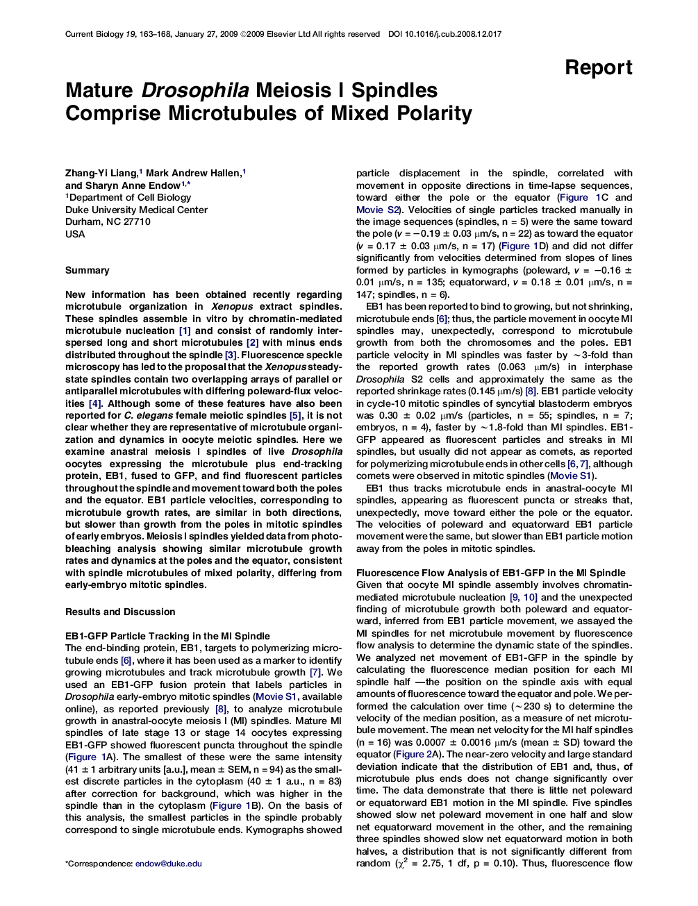 Mature Drosophila Meiosis I Spindles Comprise Microtubules of Mixed Polarity