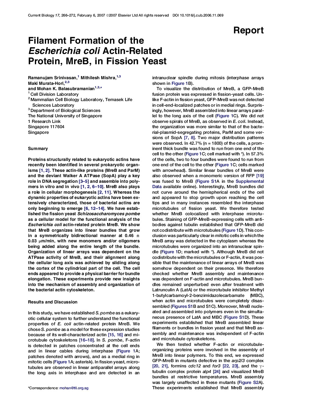 Filament Formation of the Escherichia coli Actin-Related Protein, MreB, in Fission Yeast