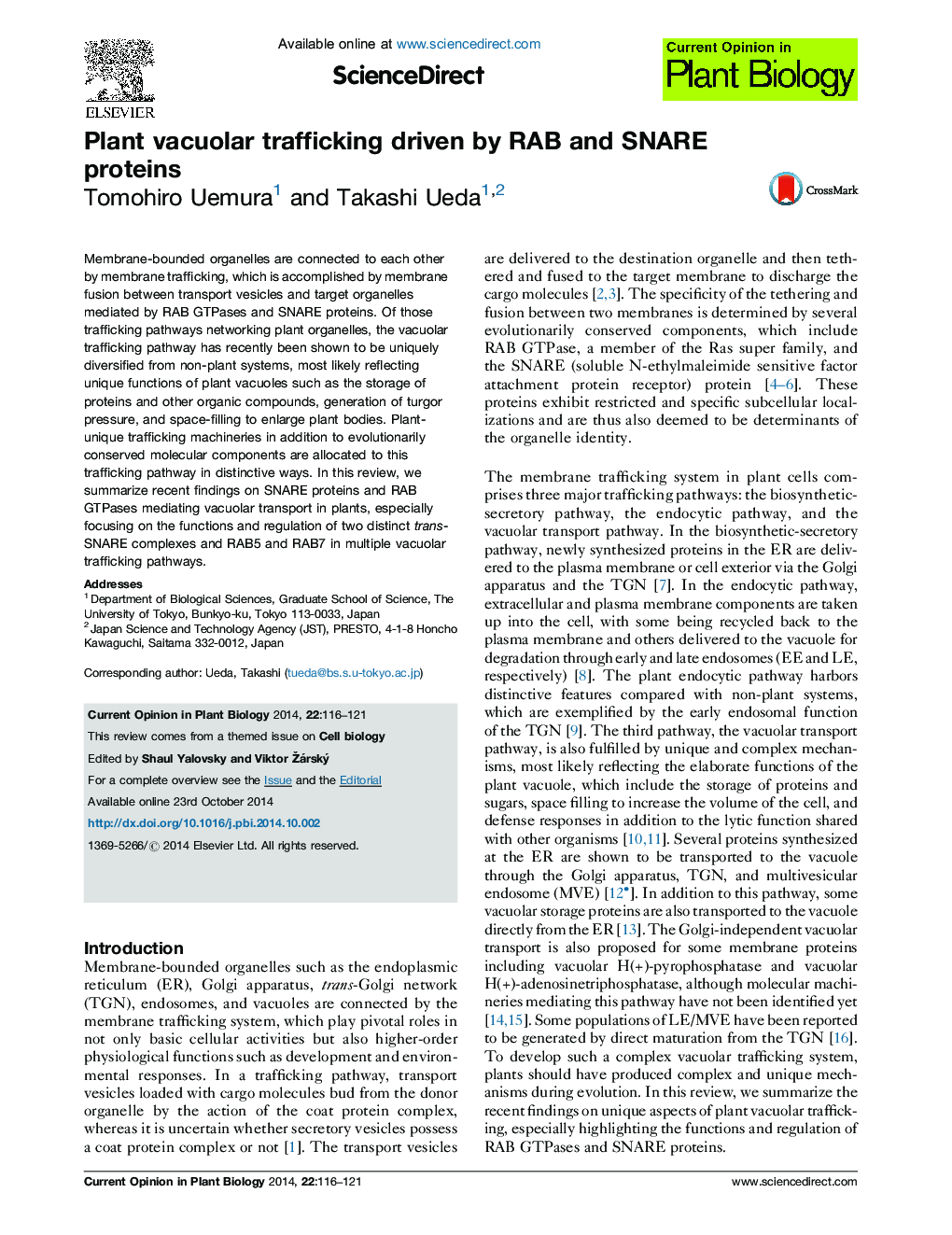 Plant vacuolar trafficking driven by RAB and SNARE proteins