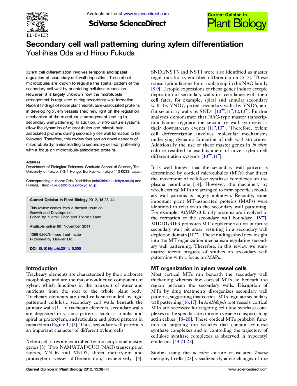 Secondary cell wall patterning during xylem differentiation