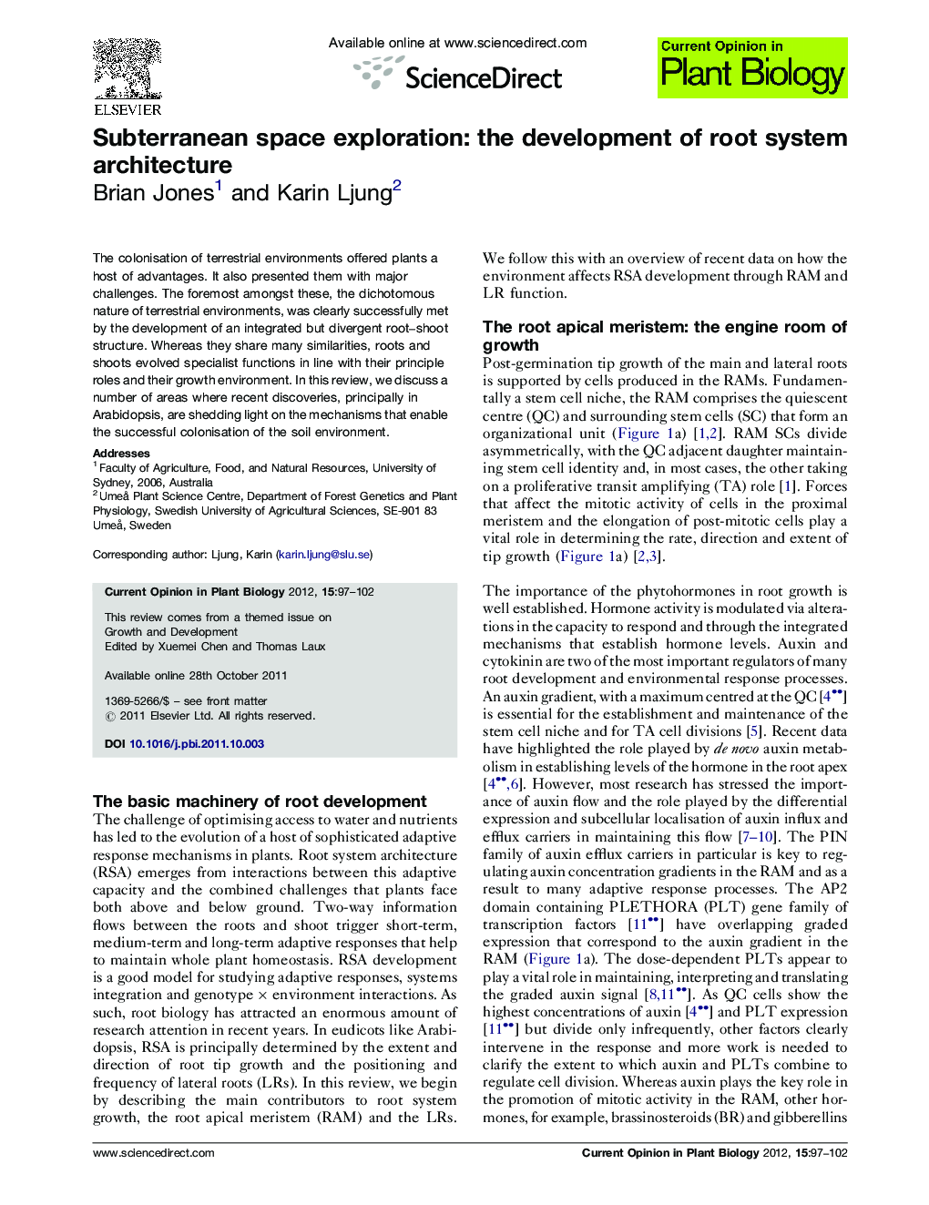 Subterranean space exploration: the development of root system architecture