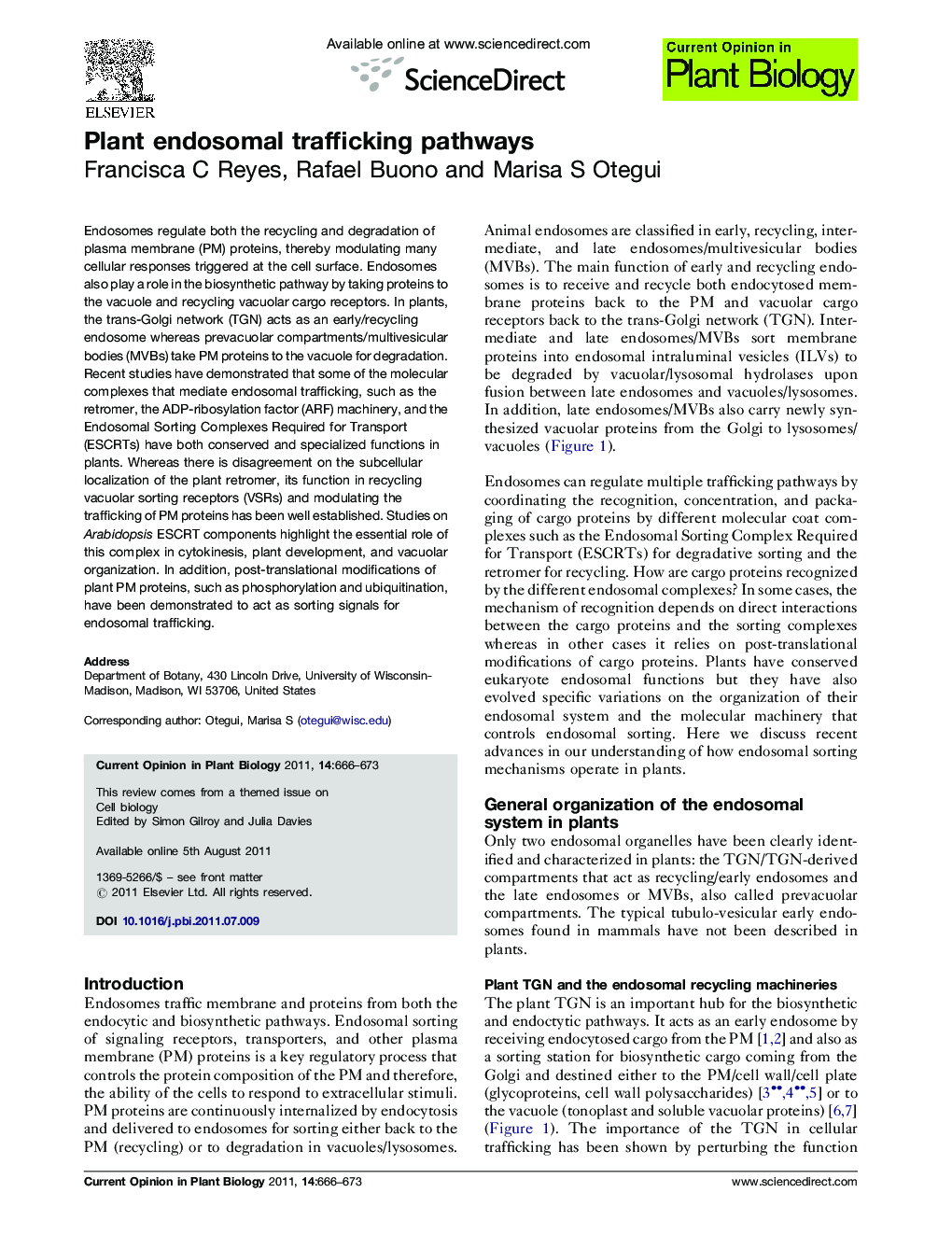 Plant endosomal trafficking pathways
