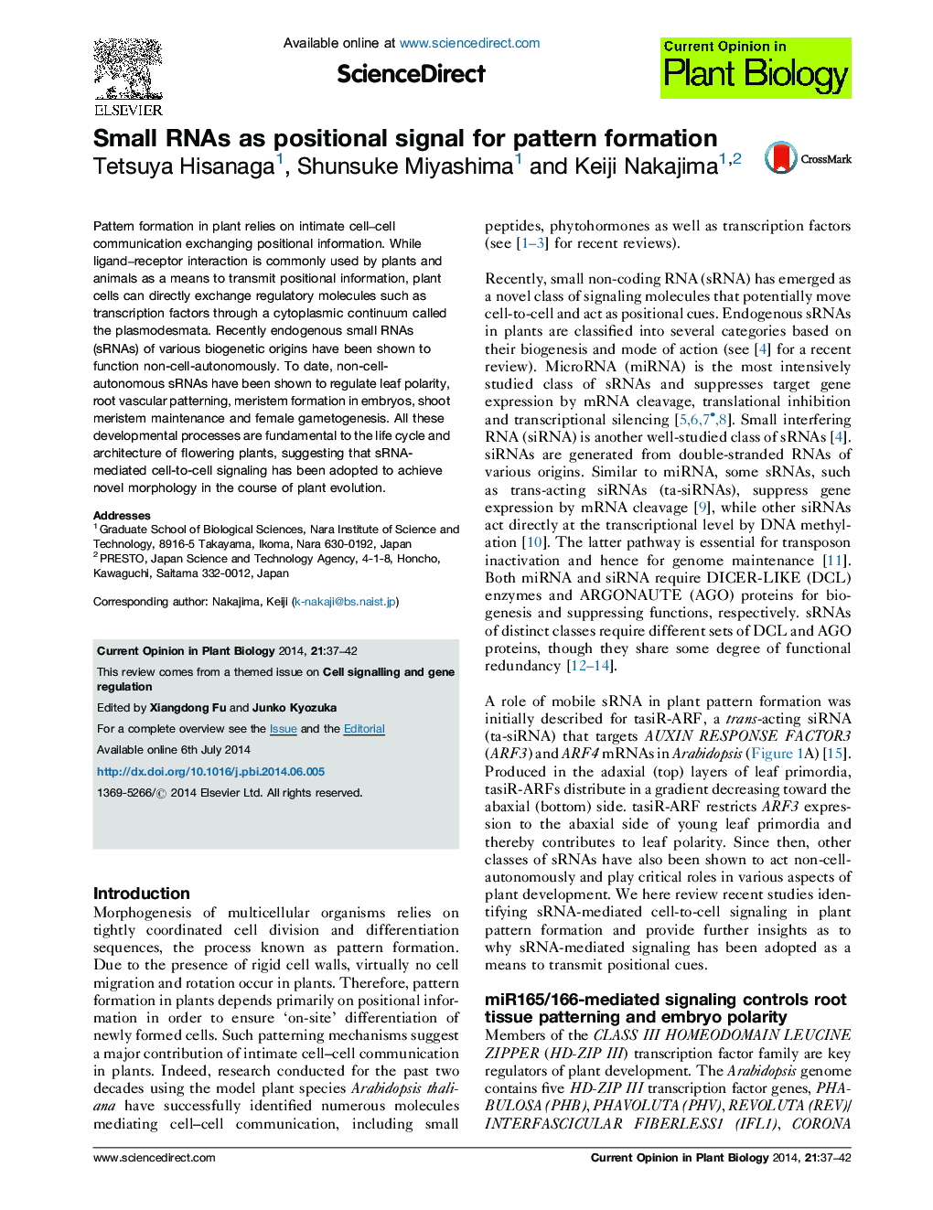 Small RNAs as positional signal for pattern formation