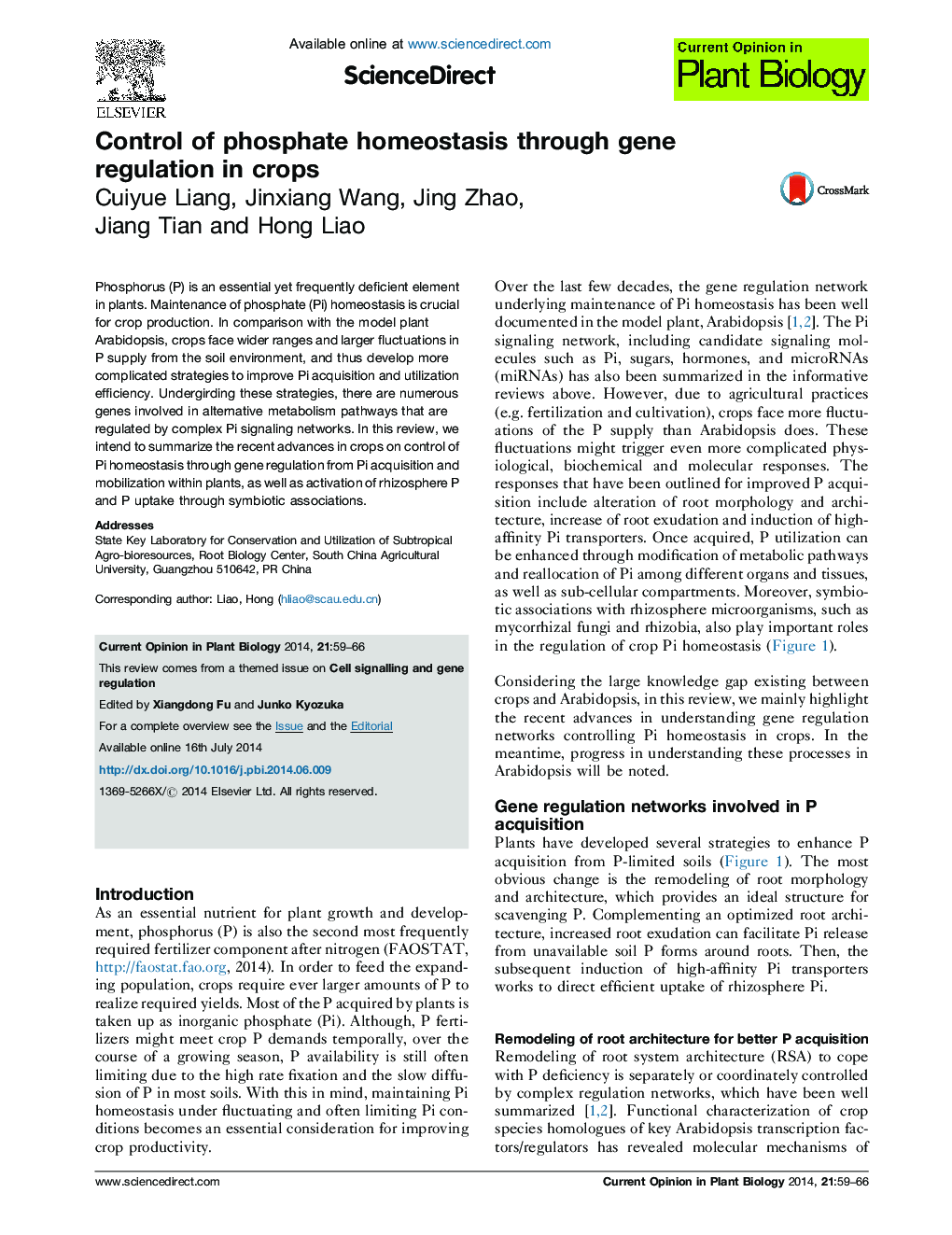 Control of phosphate homeostasis through gene regulation in crops