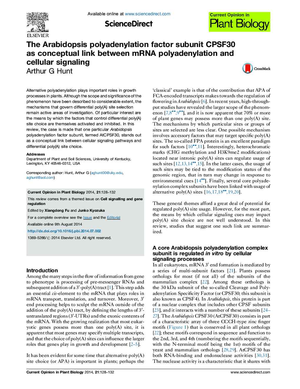 The Arabidopsis polyadenylation factor subunit CPSF30 as conceptual link between mRNA polyadenylation and cellular signaling