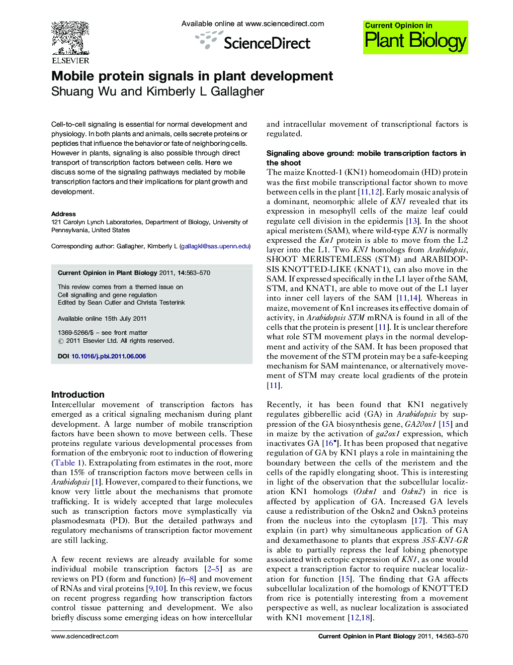 Mobile protein signals in plant development