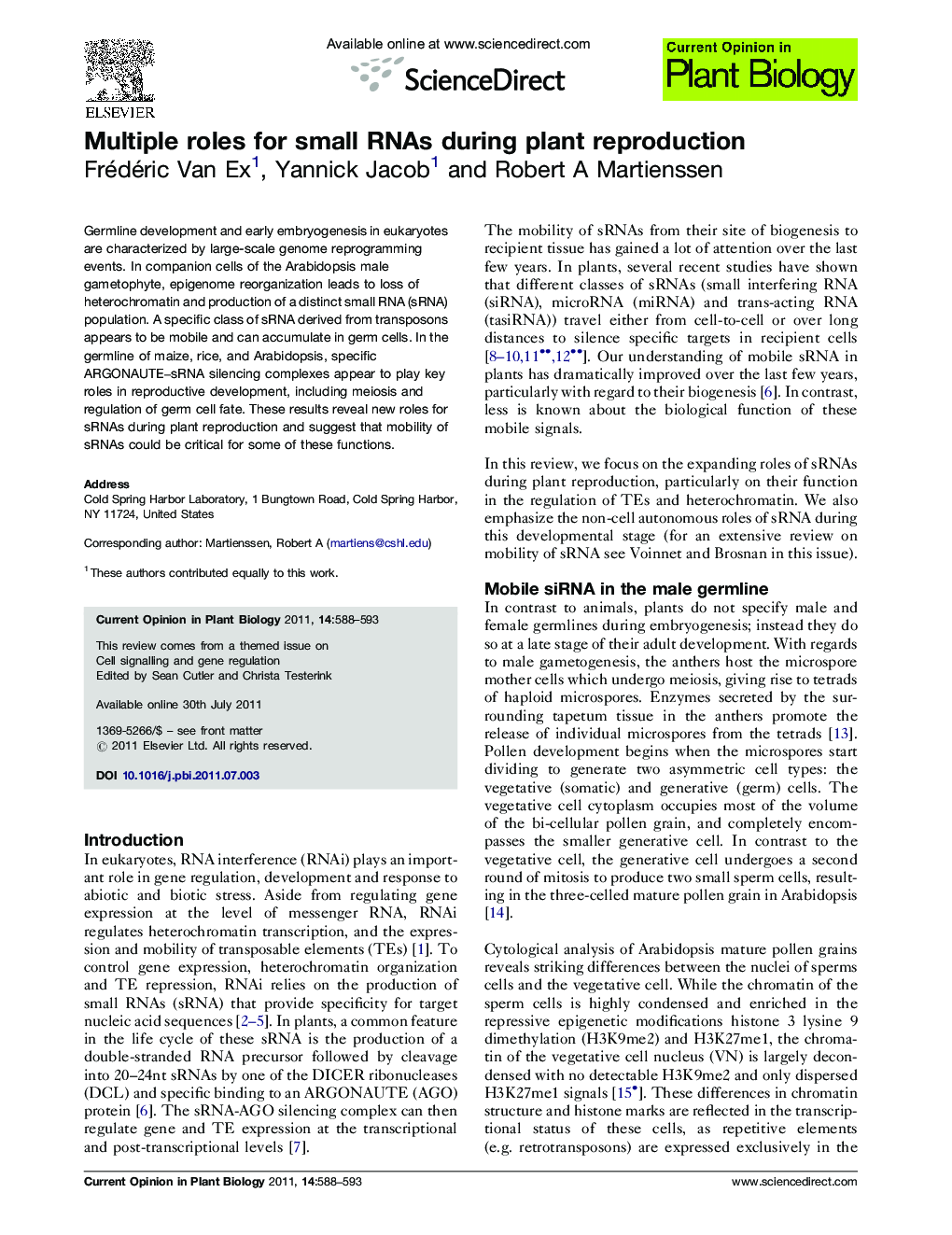 Multiple roles for small RNAs during plant reproduction