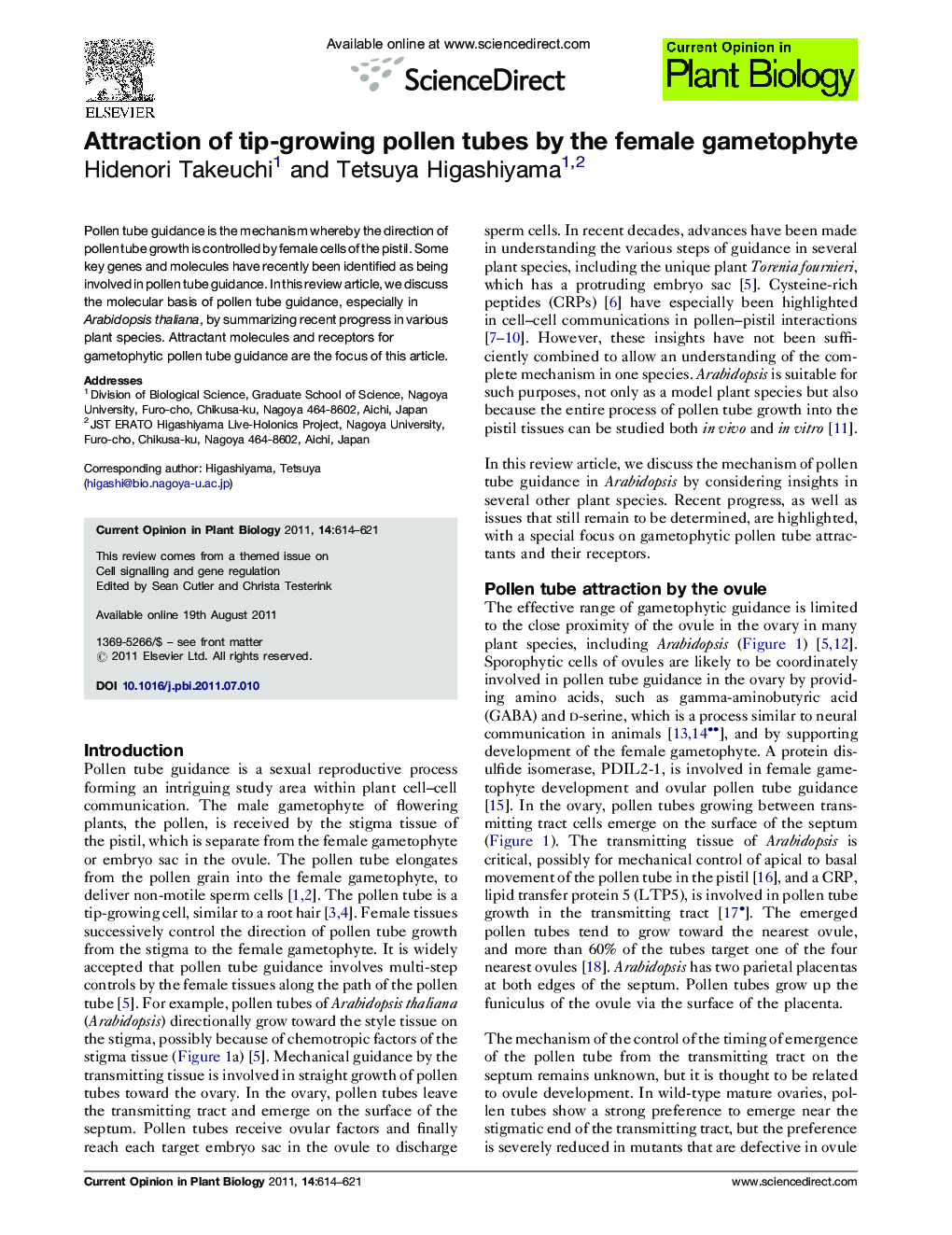 Attraction of tip-growing pollen tubes by the female gametophyte