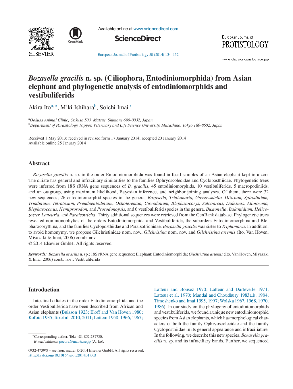 Bozasella gracilis n. sp. (Ciliophora, Entodiniomorphida) from Asian elephant and phylogenetic analysis of entodiniomorphids and vestibuliferids