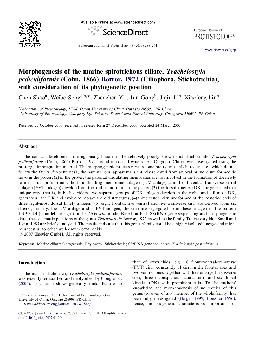 Morphogenesis of the marine spirotrichous ciliate, Trachelostyla pediculiformis (Cohn, 1866)  Borror, 1972 (Ciliophora, Stichotrichia), with consideration of its phylogenetic position