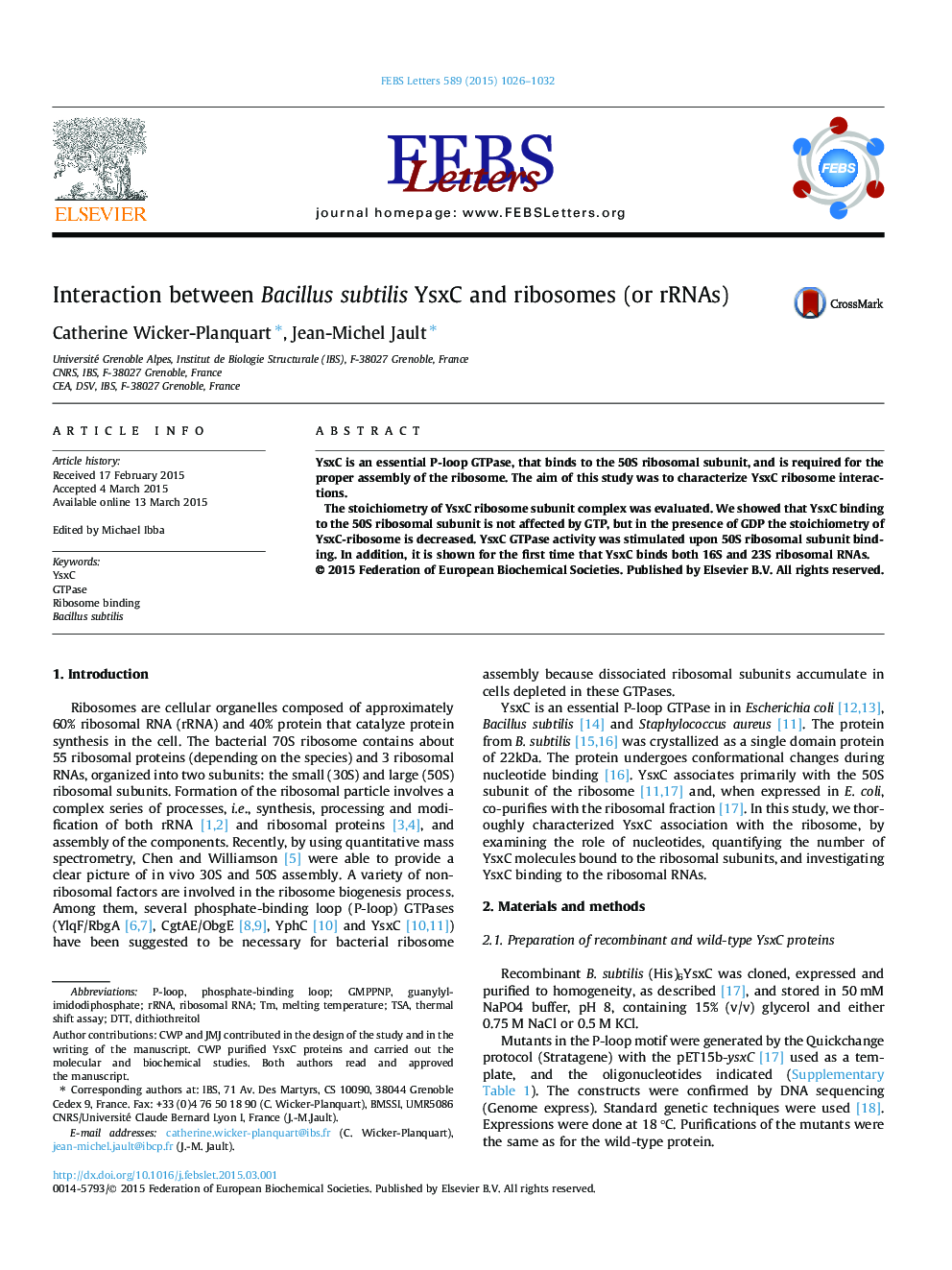 Interaction between Bacillus subtilis YsxC and ribosomes (or rRNAs) 