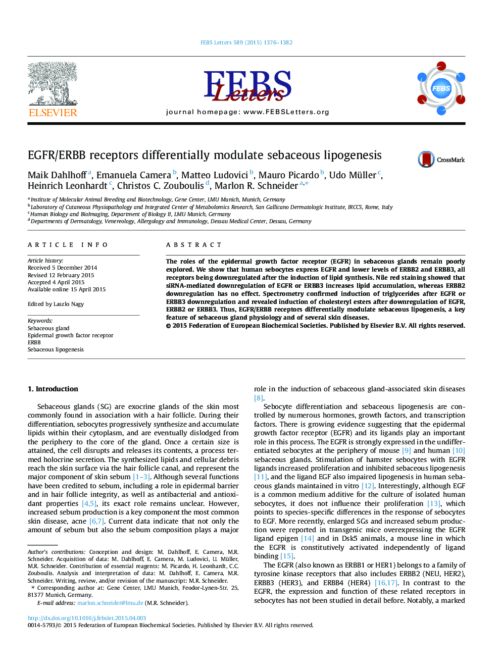 EGFR/ERBB receptors differentially modulate sebaceous lipogenesis 