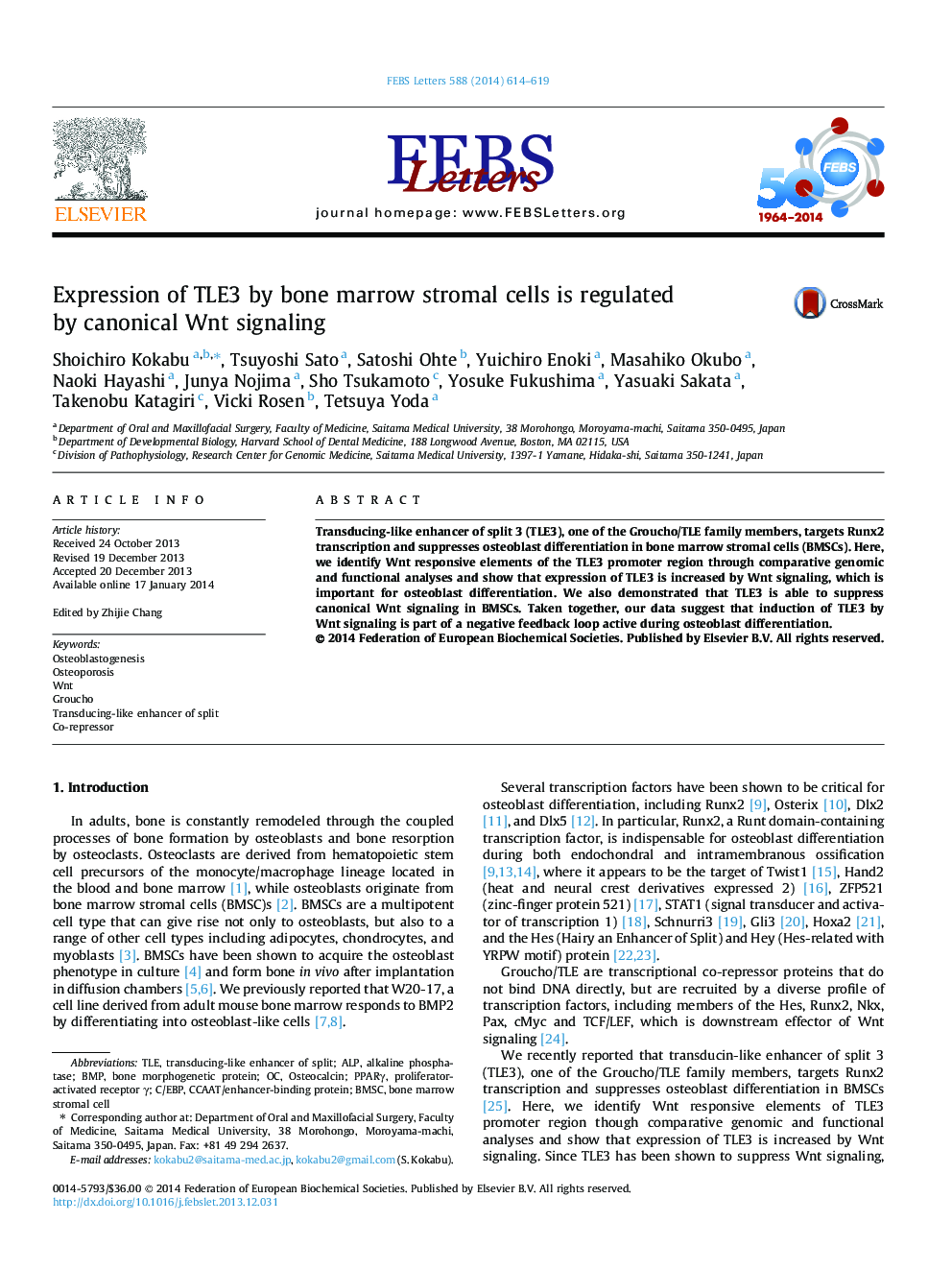 Expression of TLE3 by bone marrow stromal cells is regulated by canonical Wnt signaling