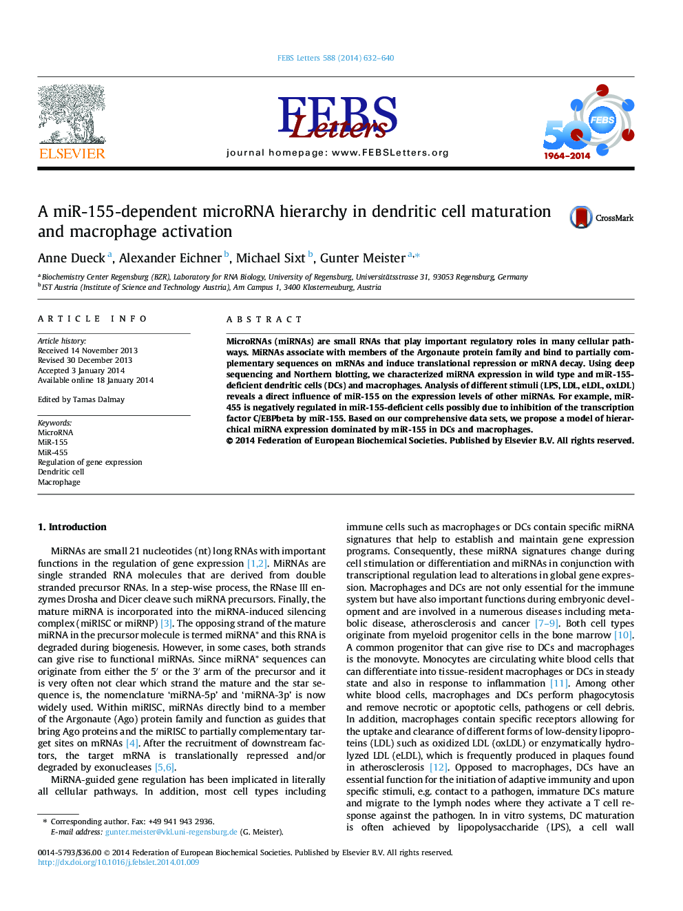 A miR-155-dependent microRNA hierarchy in dendritic cell maturation and macrophage activation