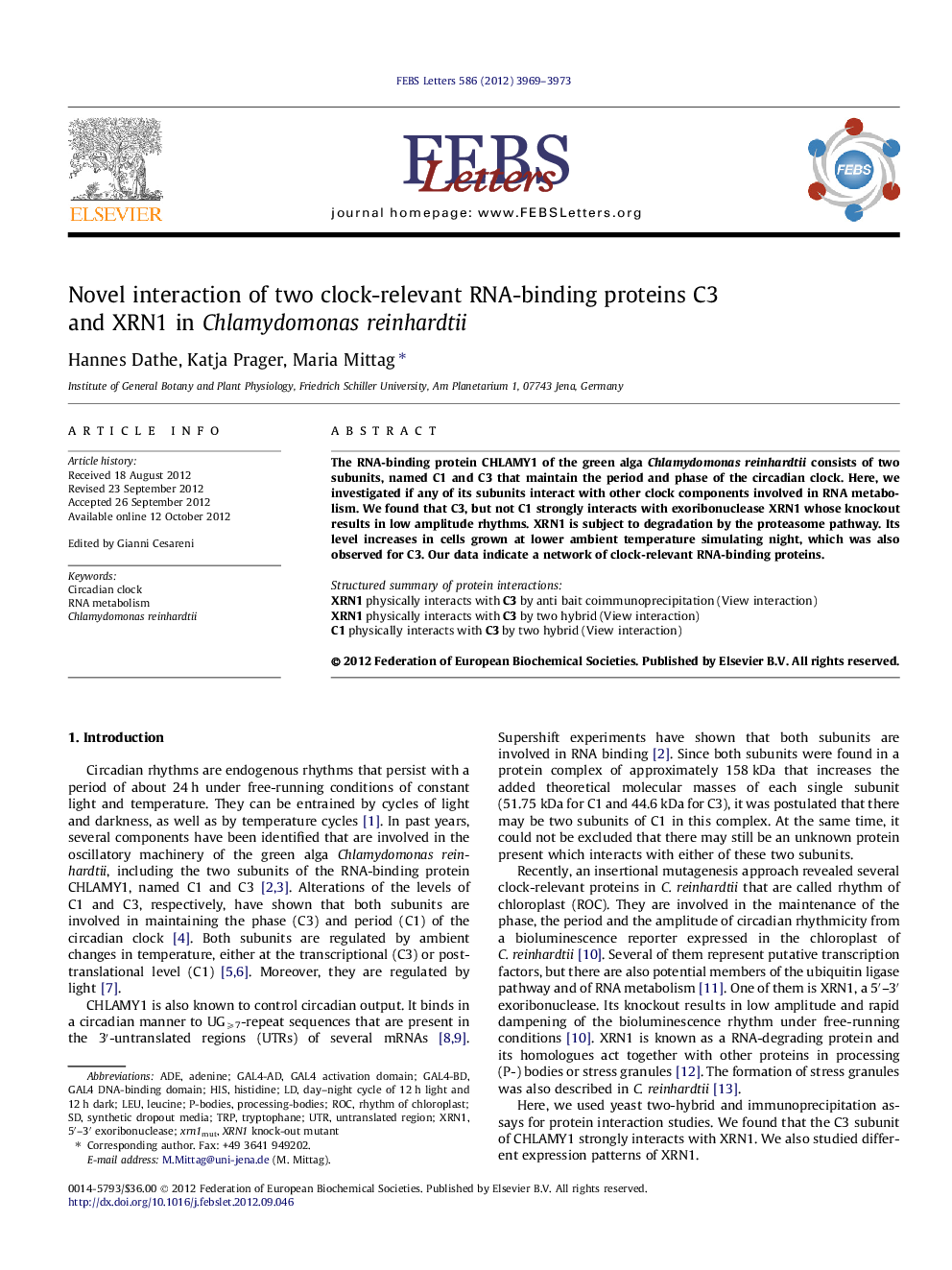 Novel interaction of two clock-relevant RNA-binding proteins C3 and XRN1 in Chlamydomonas reinhardtii