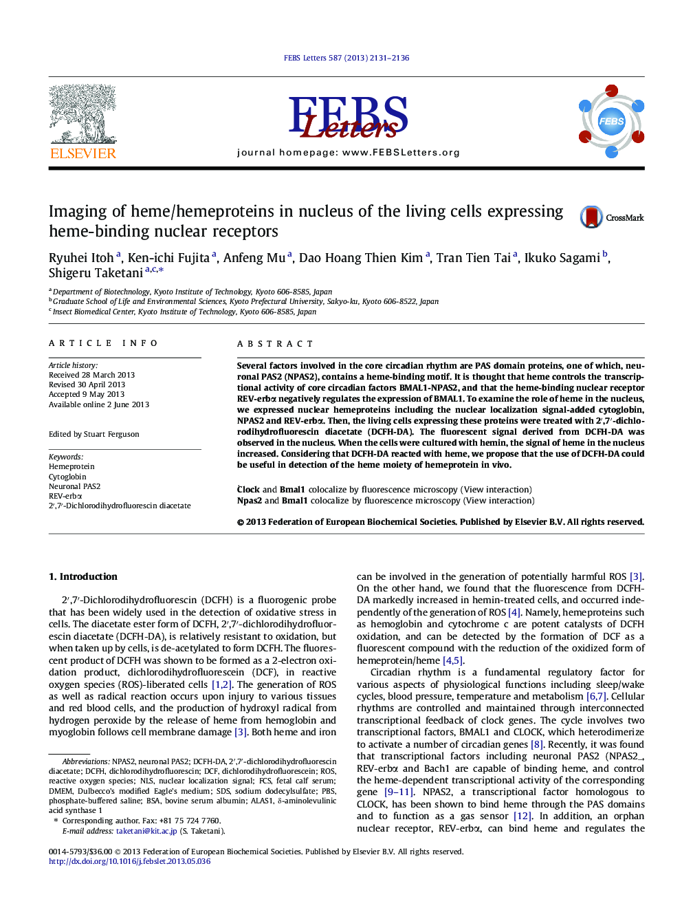 Imaging of heme/hemeproteins in nucleus of the living cells expressing heme-binding nuclear receptors