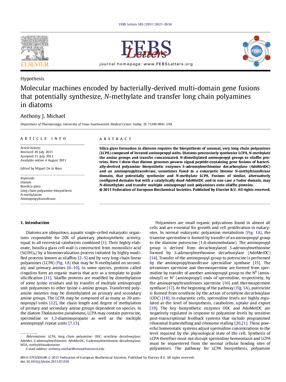 Molecular machines encoded by bacterially-derived multi-domain gene fusions that potentially synthesize, N-methylate and transfer long chain polyamines in diatoms