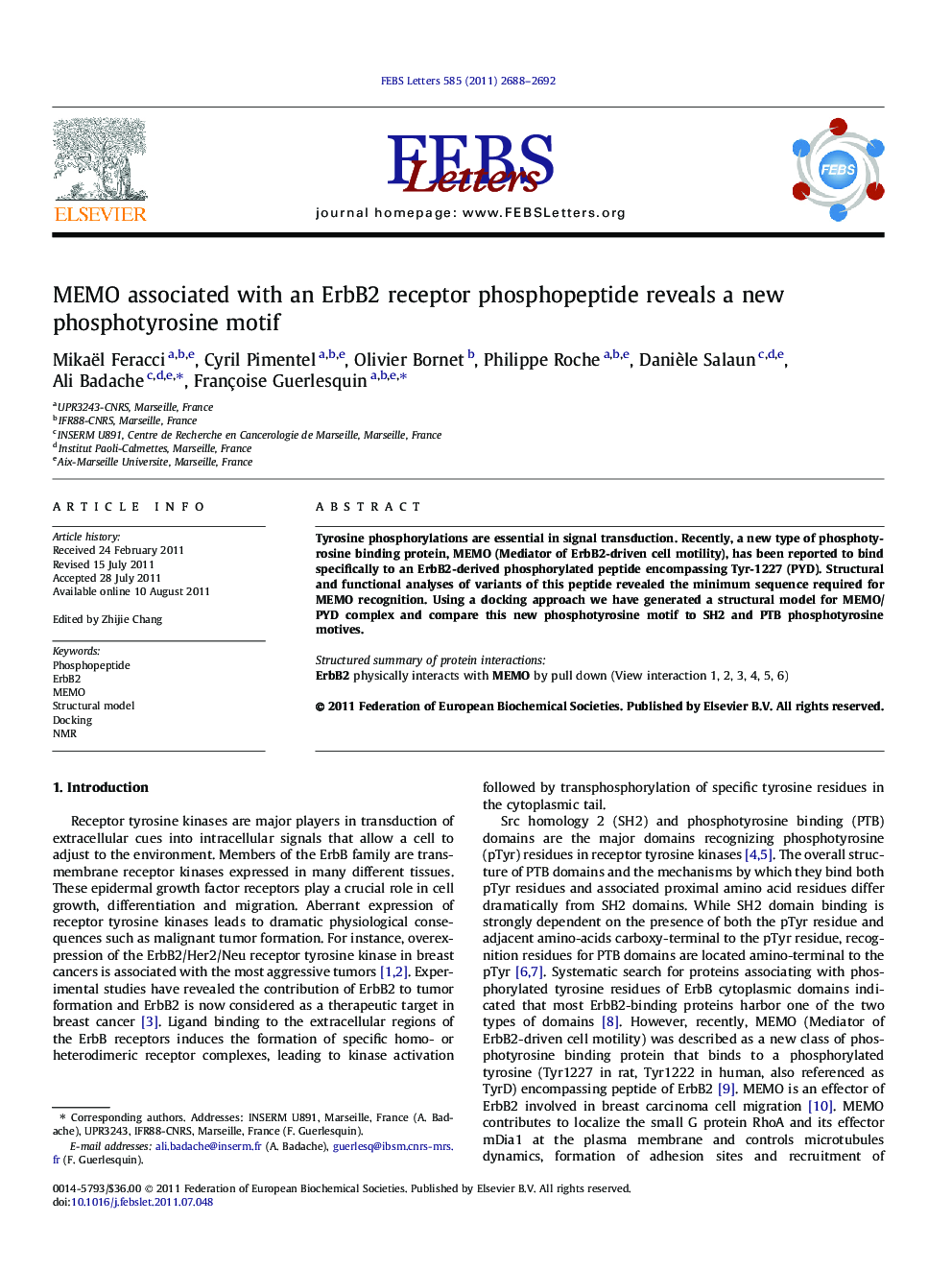 MEMO associated with an ErbB2 receptor phosphopeptide reveals a new phosphotyrosine motif