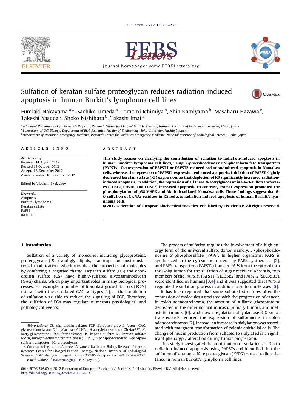 Sulfation of keratan sulfate proteoglycan reduces radiation-induced apoptosis in human Burkitt’s lymphoma cell lines