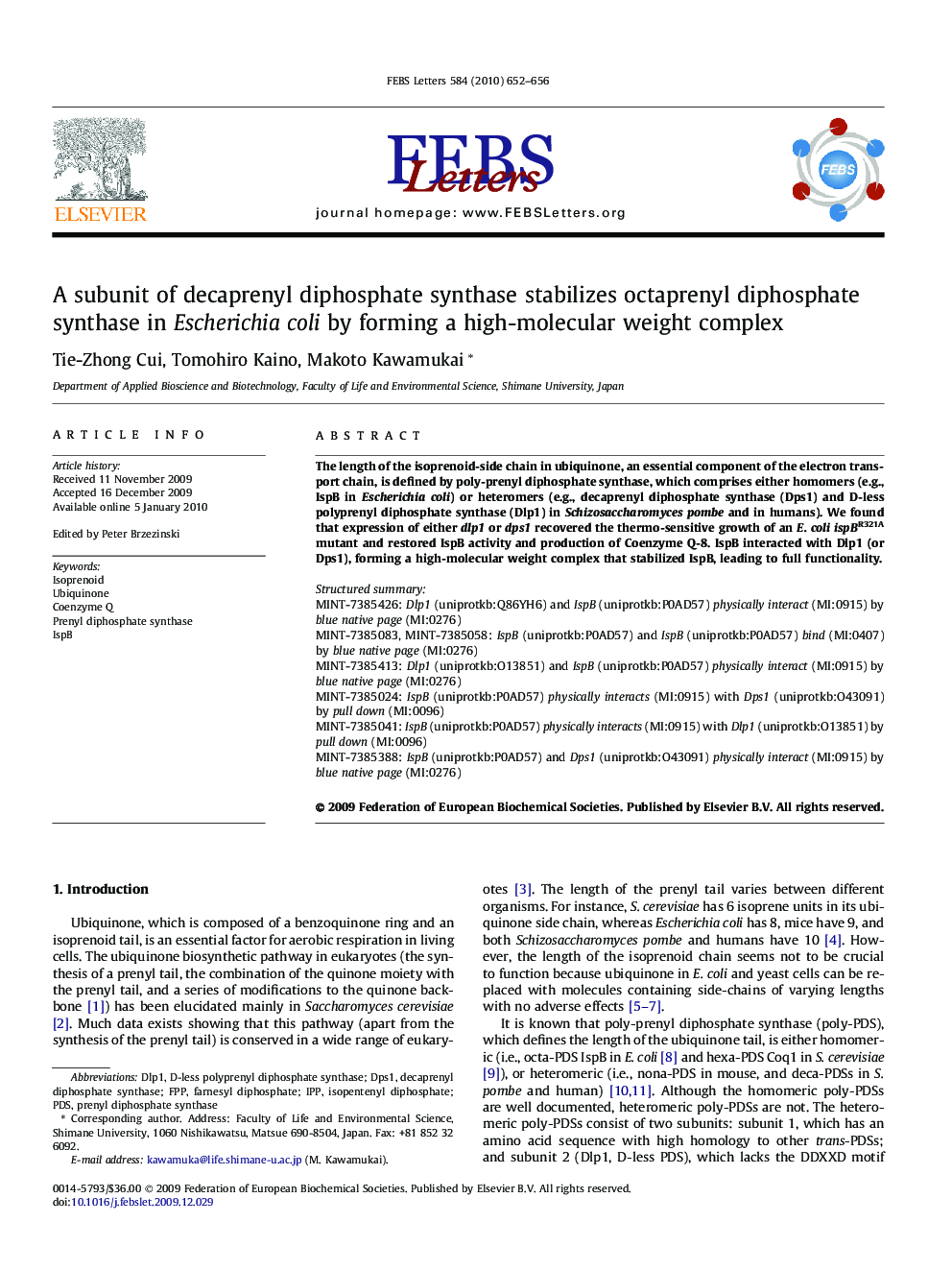 A subunit of decaprenyl diphosphate synthase stabilizes octaprenyl diphosphate synthase in Escherichia coli by forming a high-molecular weight complex