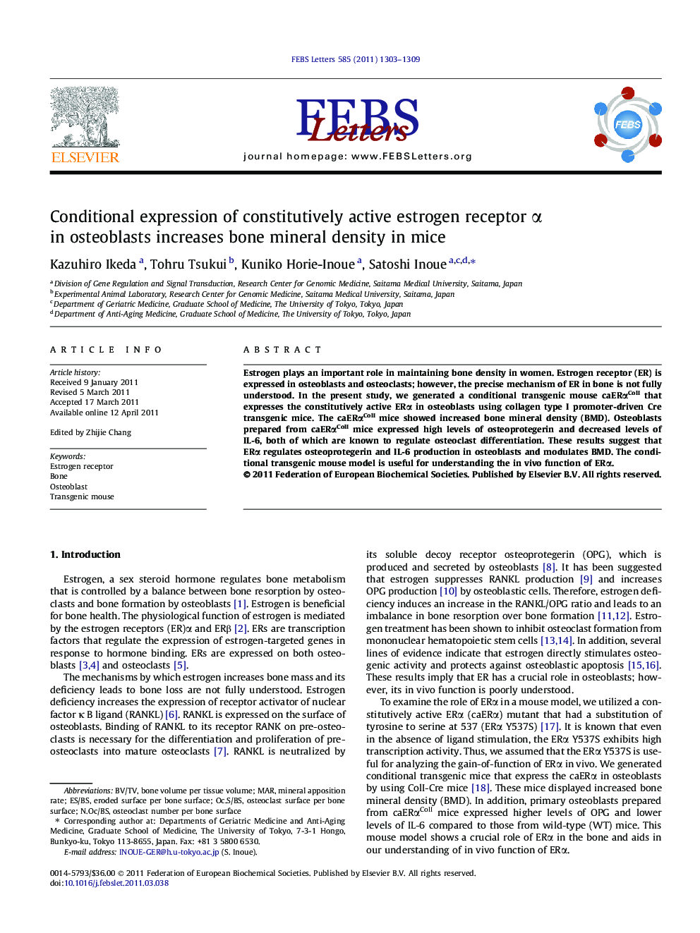 Conditional expression of constitutively active estrogen receptor α in osteoblasts increases bone mineral density in mice