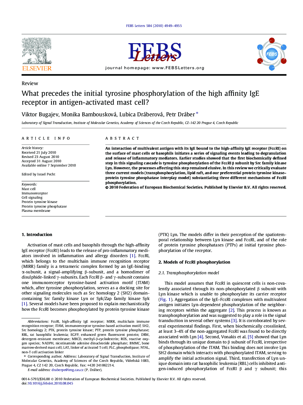 What precedes the initial tyrosine phosphorylation of the high affinity IgE receptor in antigen-activated mast cell?