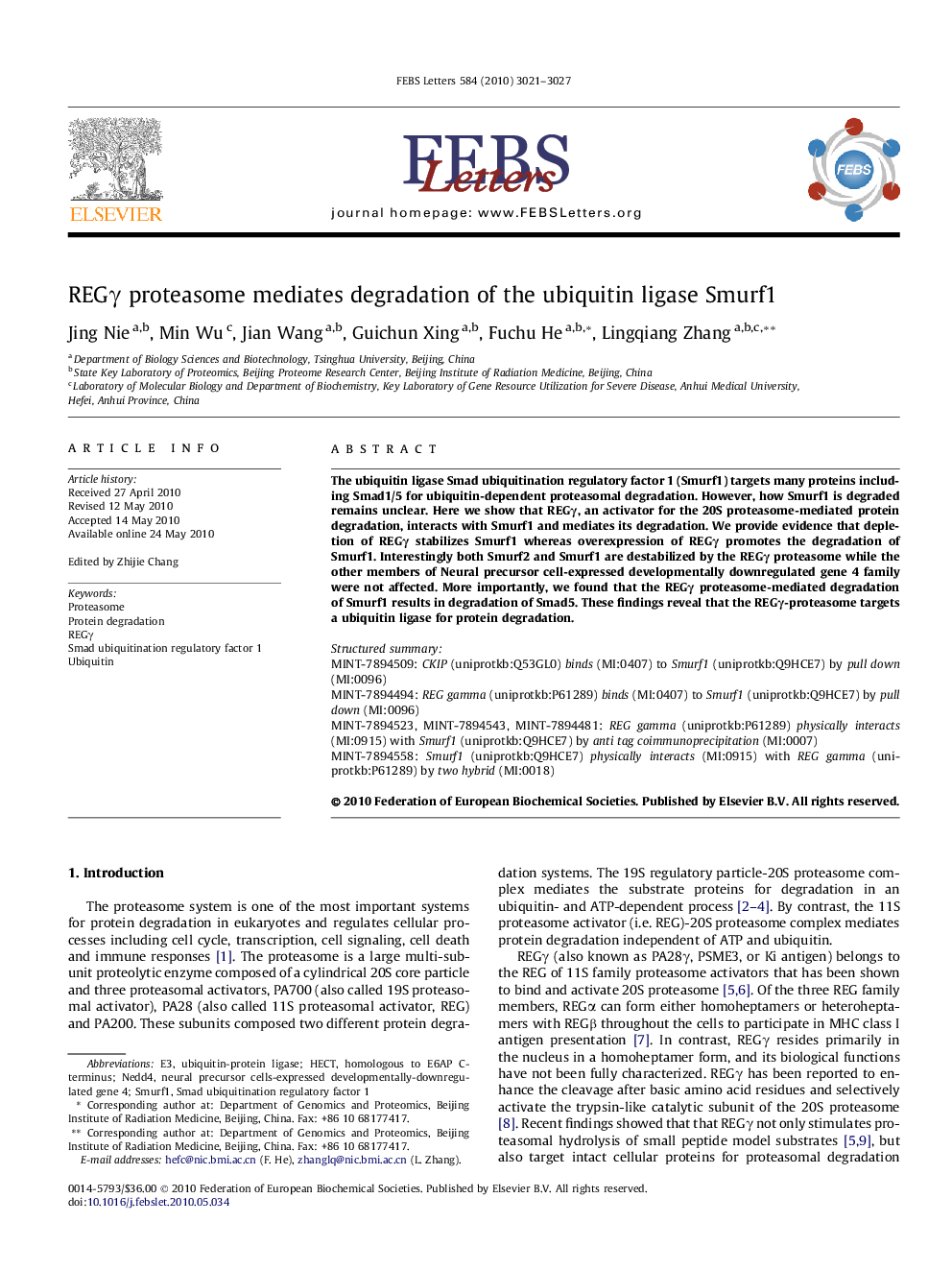 REGγ proteasome mediates degradation of the ubiquitin ligase Smurf1