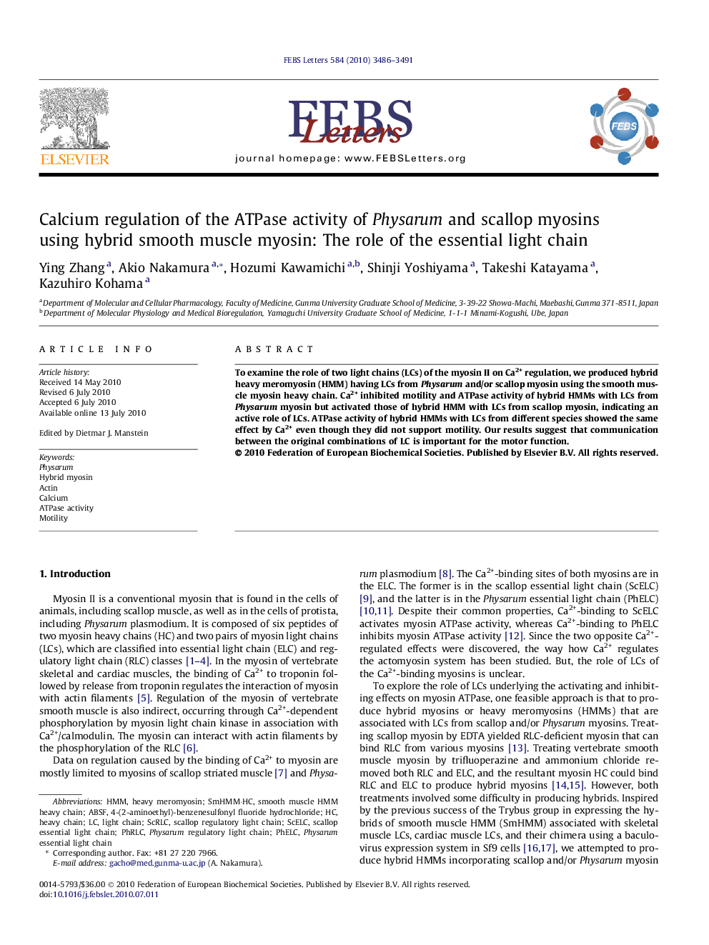 Calcium regulation of the ATPase activity of Physarum and scallop myosins using hybrid smooth muscle myosin: The role of the essential light chain