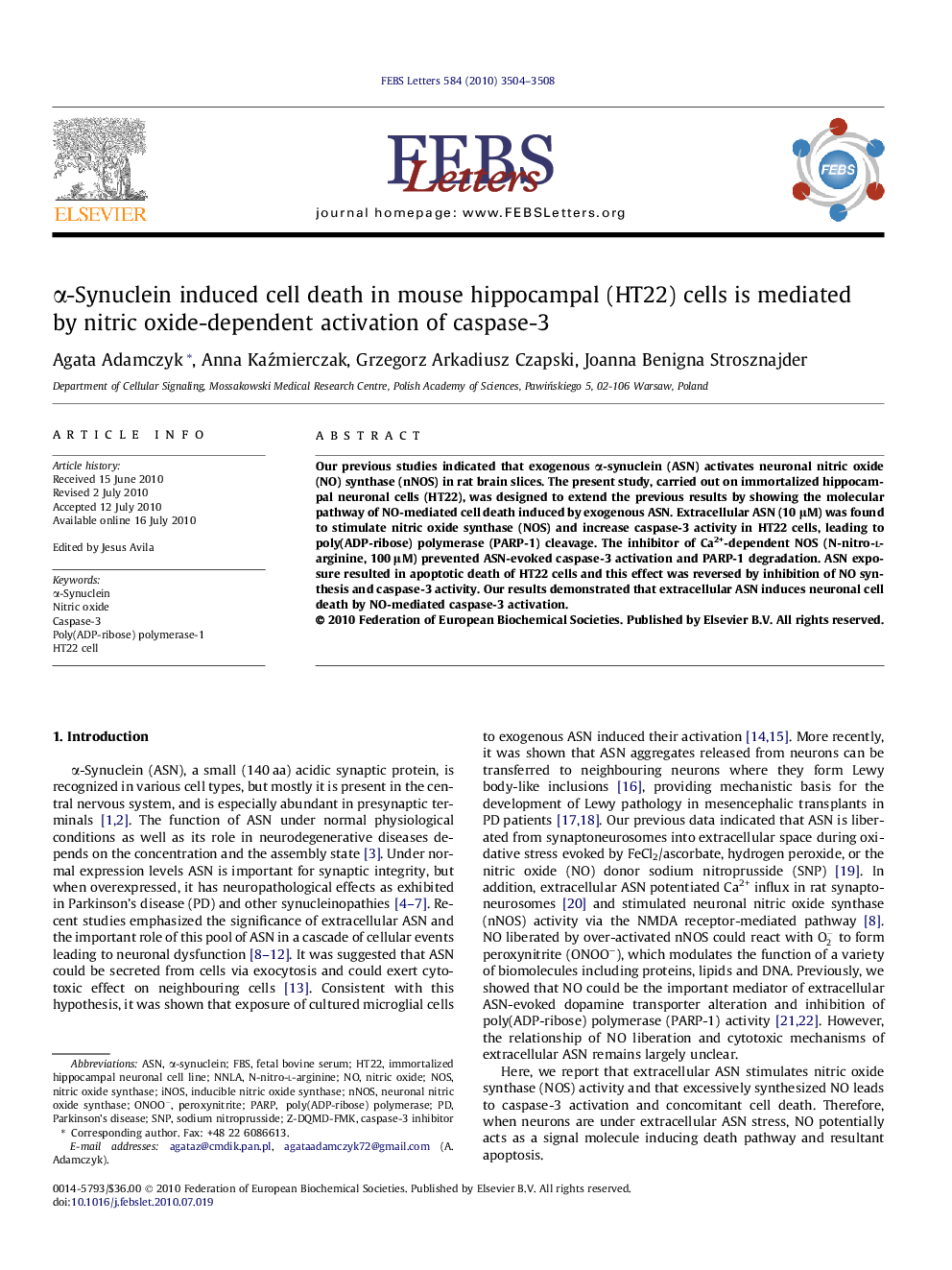 α-Synuclein induced cell death in mouse hippocampal (HT22) cells is mediated by nitric oxide-dependent activation of caspase-3