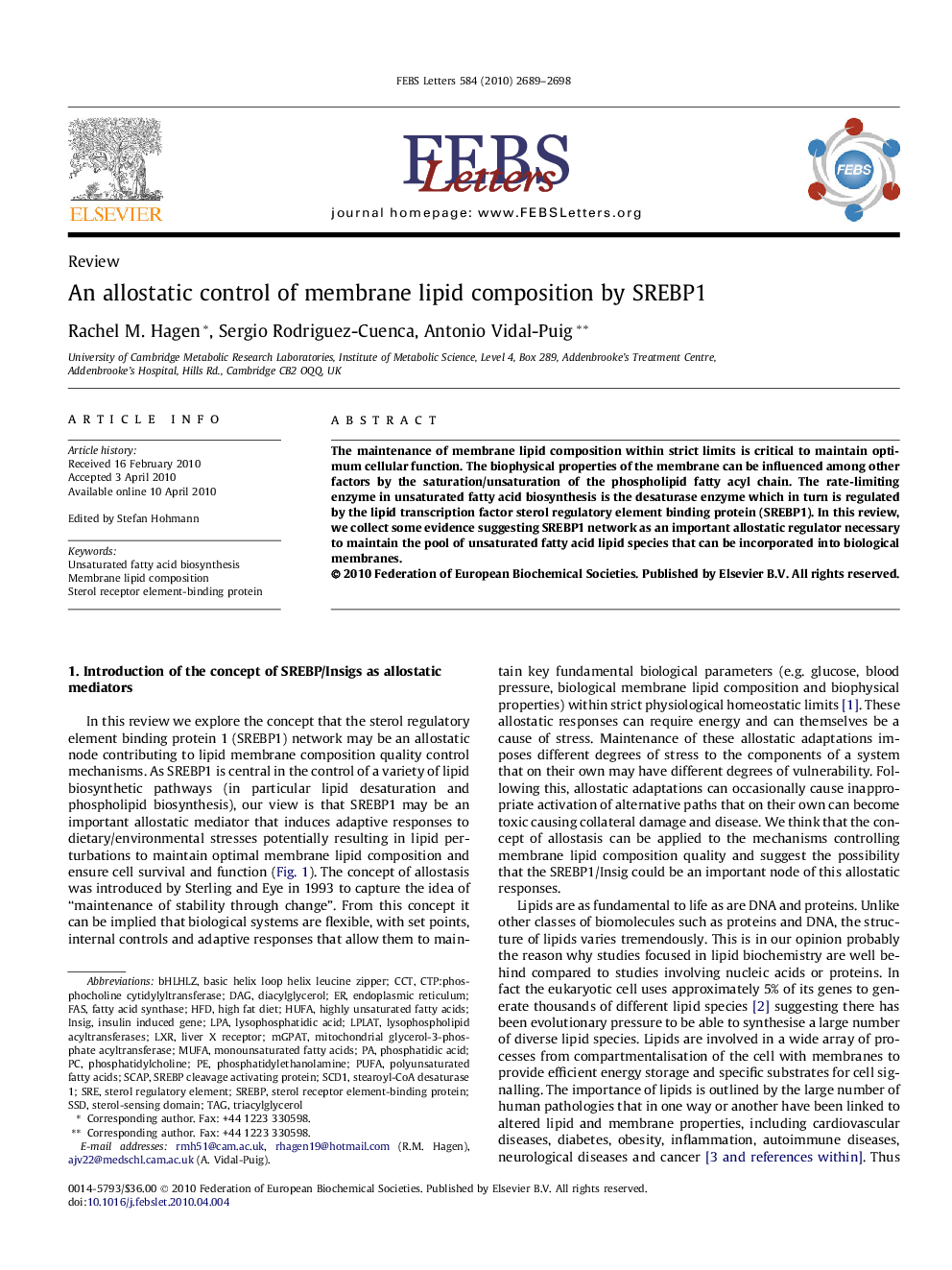 An allostatic control of membrane lipid composition by SREBP1