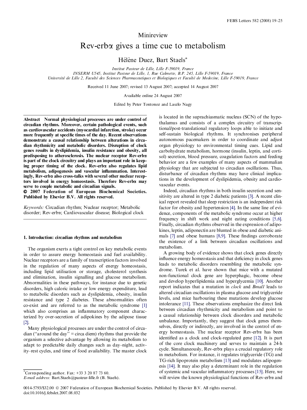 Rev-erbα gives a time cue to metabolism