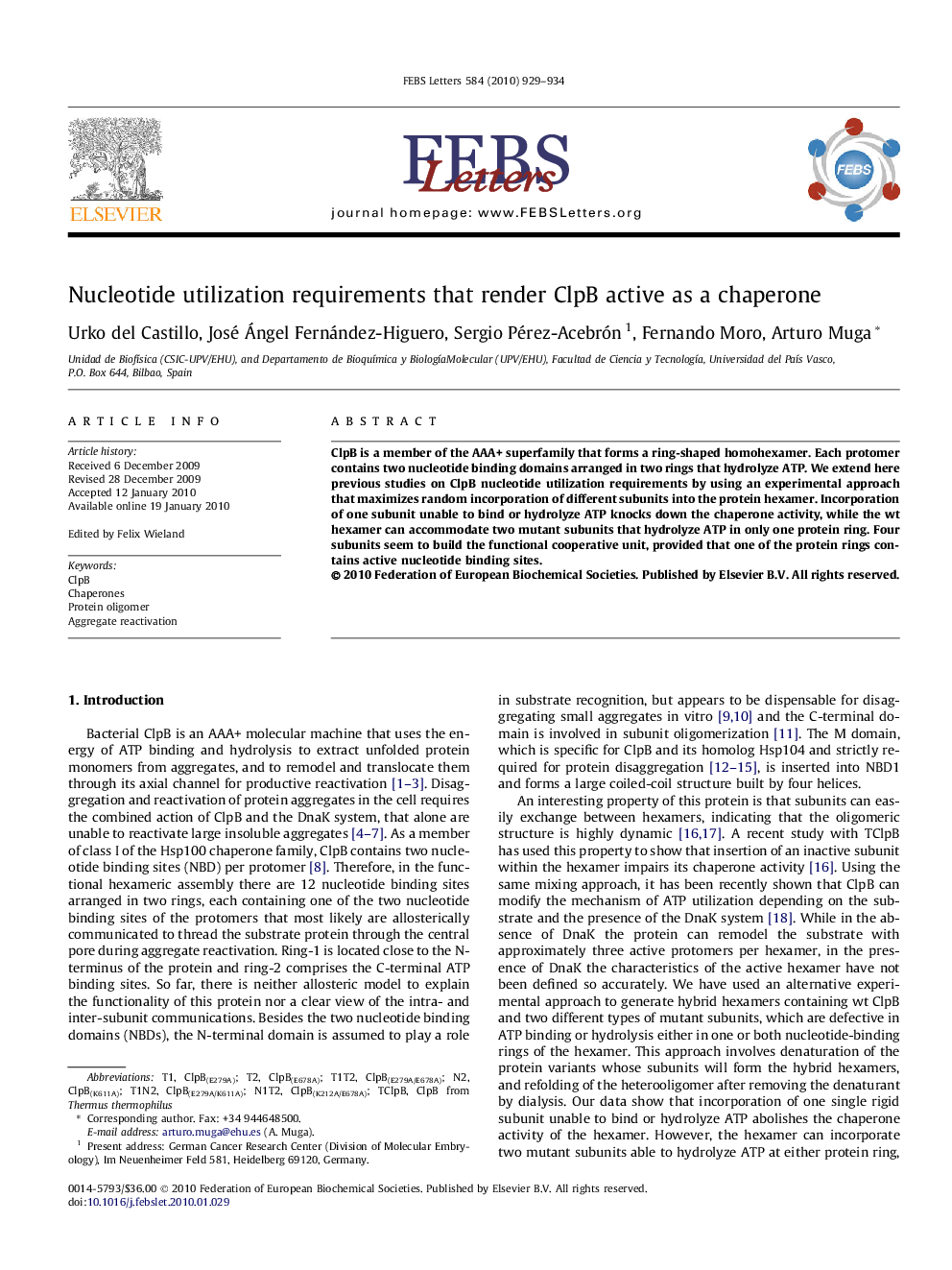 Nucleotide utilization requirements that render ClpB active as a chaperone