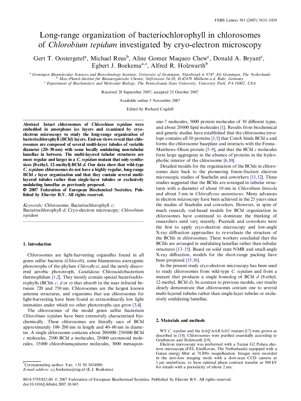 Long-range organization of bacteriochlorophyll in chlorosomes of Chlorobium tepidum investigated by cryo-electron microscopy