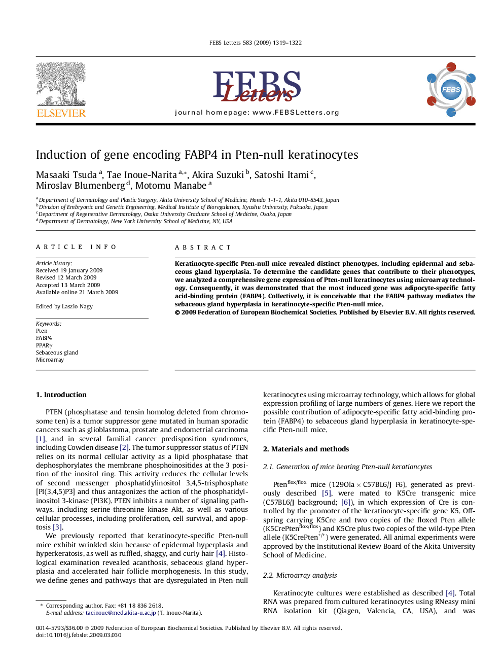 Induction of gene encoding FABP4 in Pten-null keratinocytes