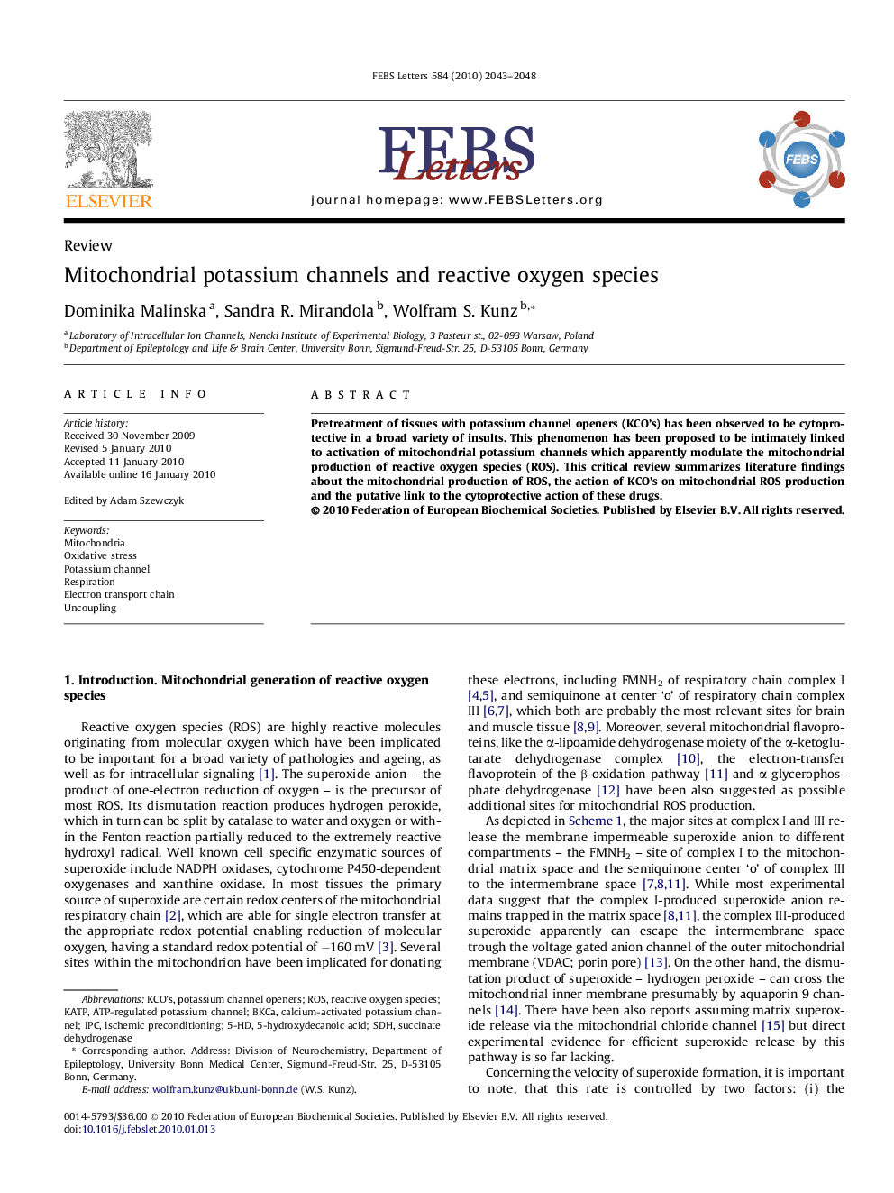 Mitochondrial potassium channels and reactive oxygen species