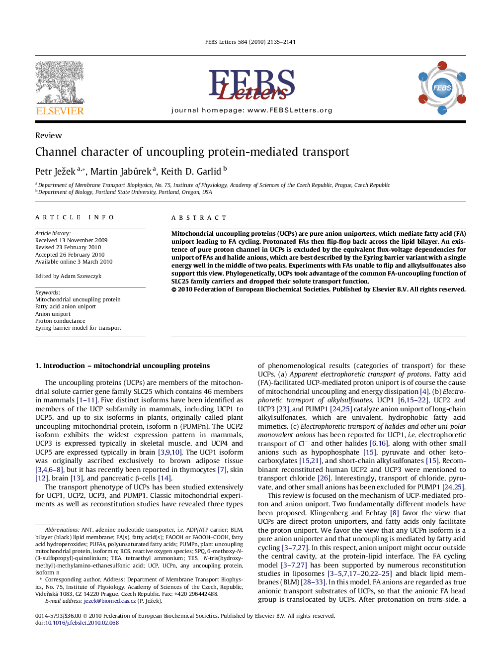 Channel character of uncoupling protein-mediated transport