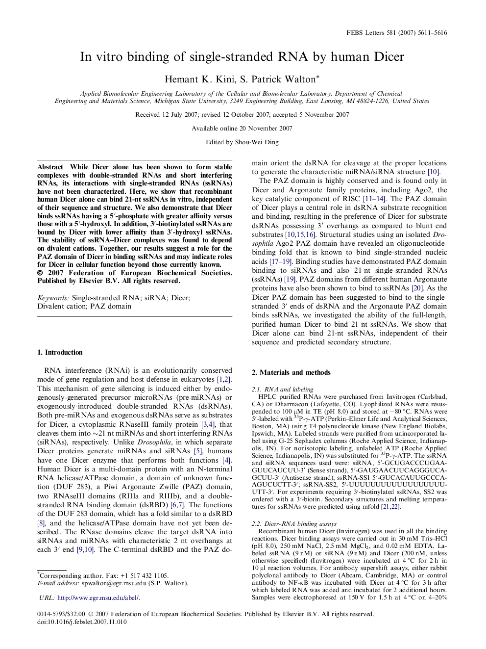 In vitro binding of single-stranded RNA by human Dicer