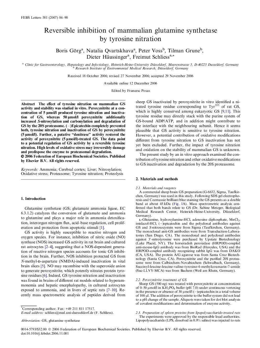 Reversible inhibition of mammalian glutamine synthetase by tyrosine nitration