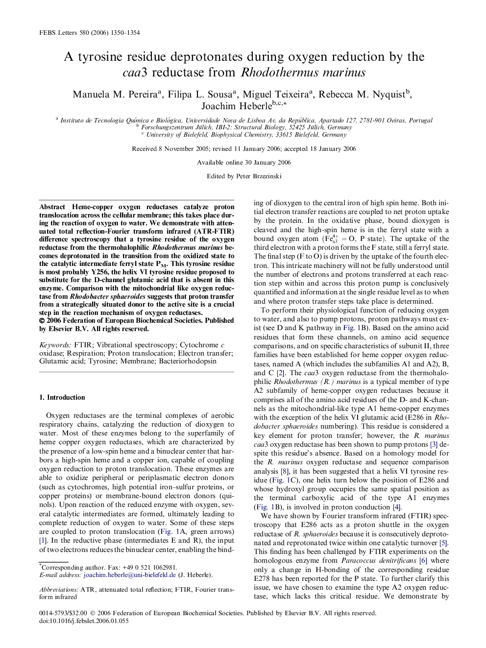 A tyrosine residue deprotonates during oxygen reduction by the caa3 reductase from Rhodothermus marinus