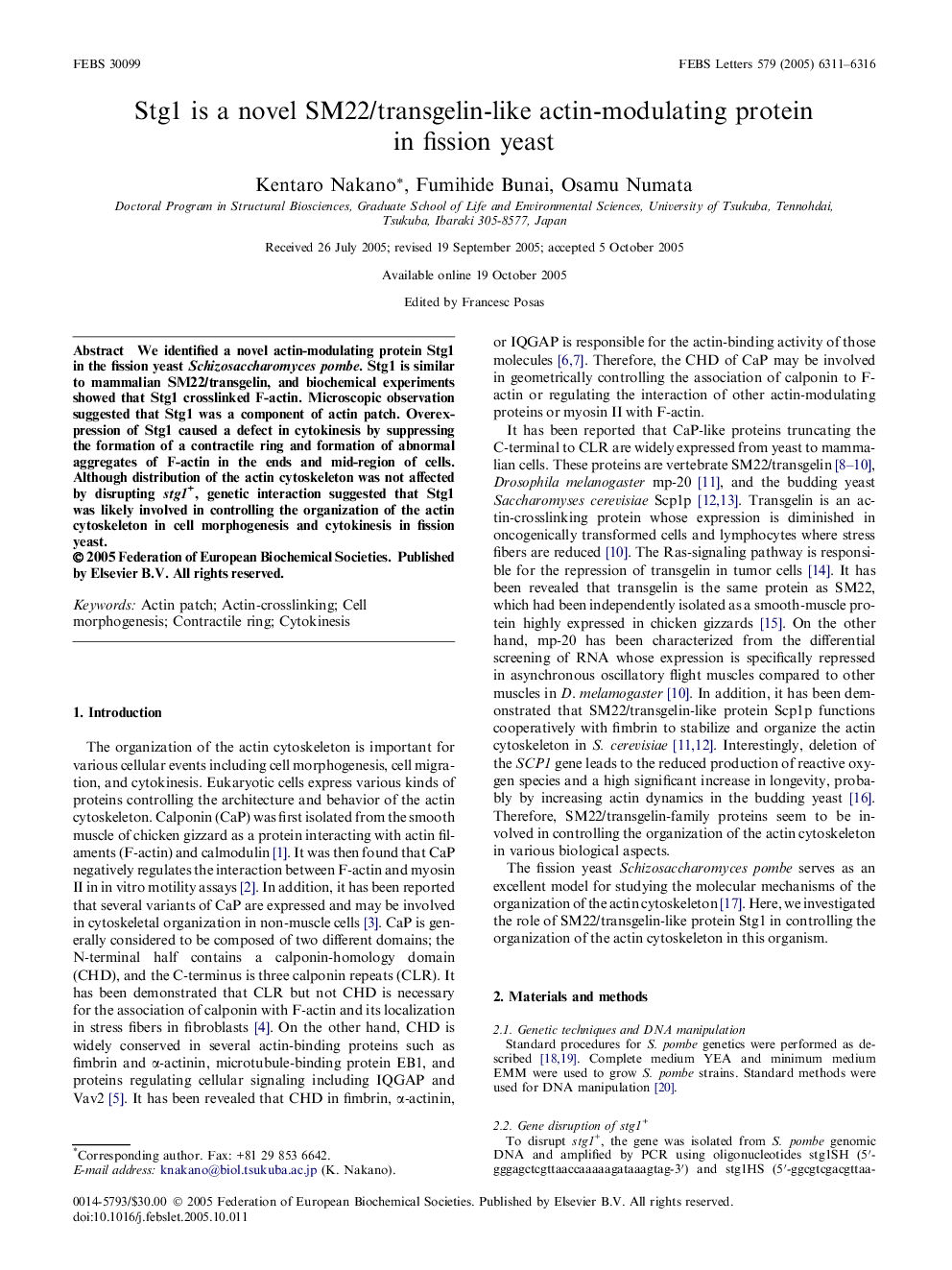 Stg1 is a novel SM22/transgelin-like actin-modulating protein in fission yeast