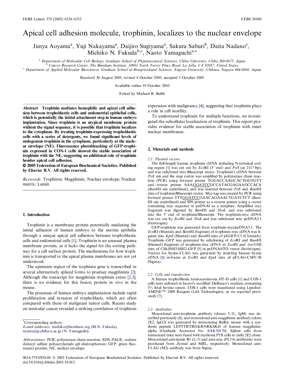 Apical cell adhesion molecule, trophinin, localizes to the nuclear envelope