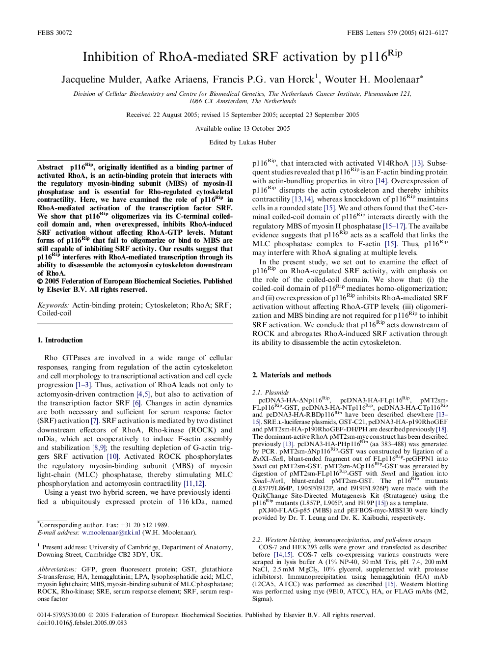 Inhibition of RhoA-mediated SRF activation by p116Rip