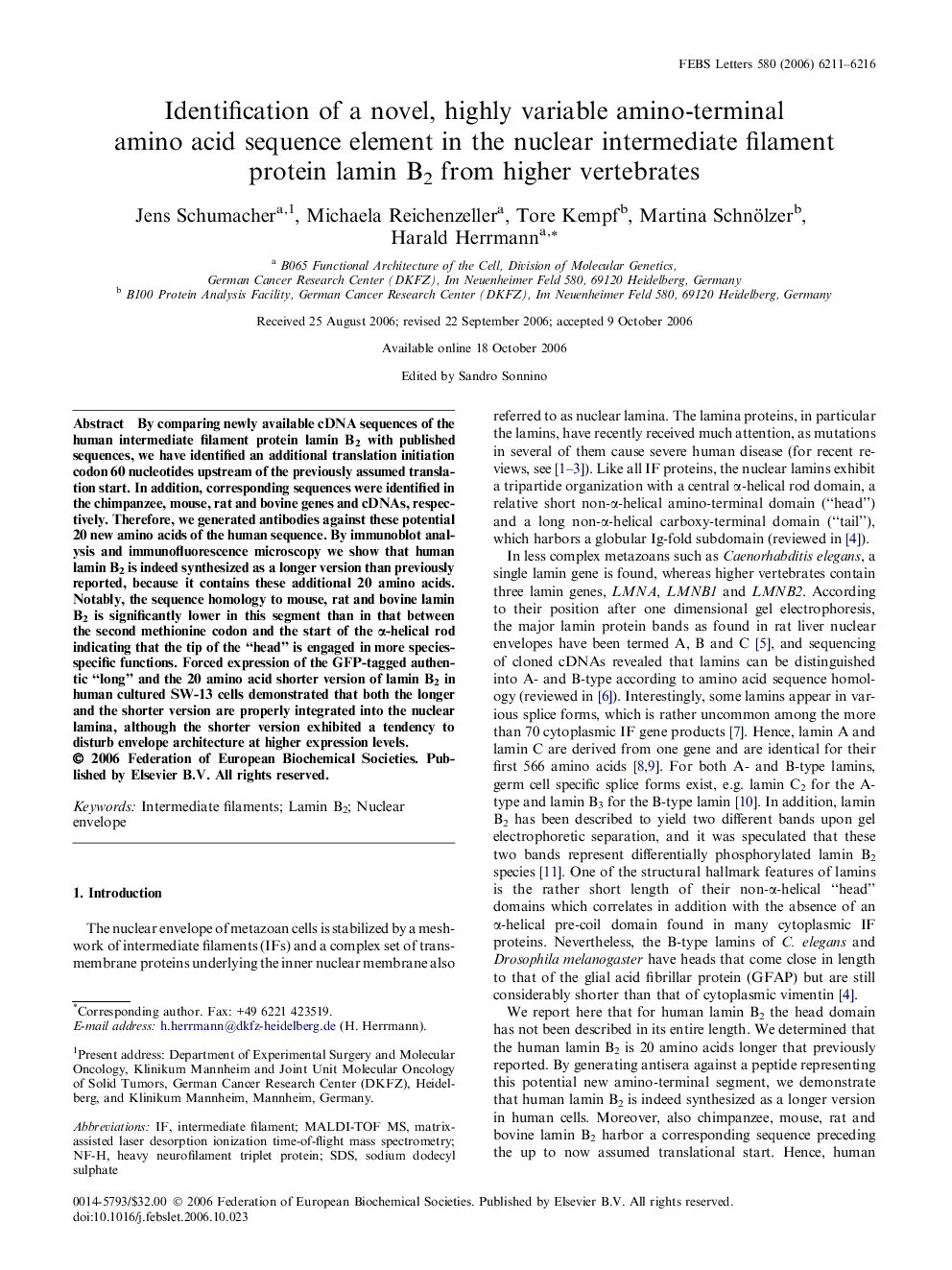 Identification of a novel, highly variable amino-terminal amino acid sequence element in the nuclear intermediate filament protein lamin B2 from higher vertebrates