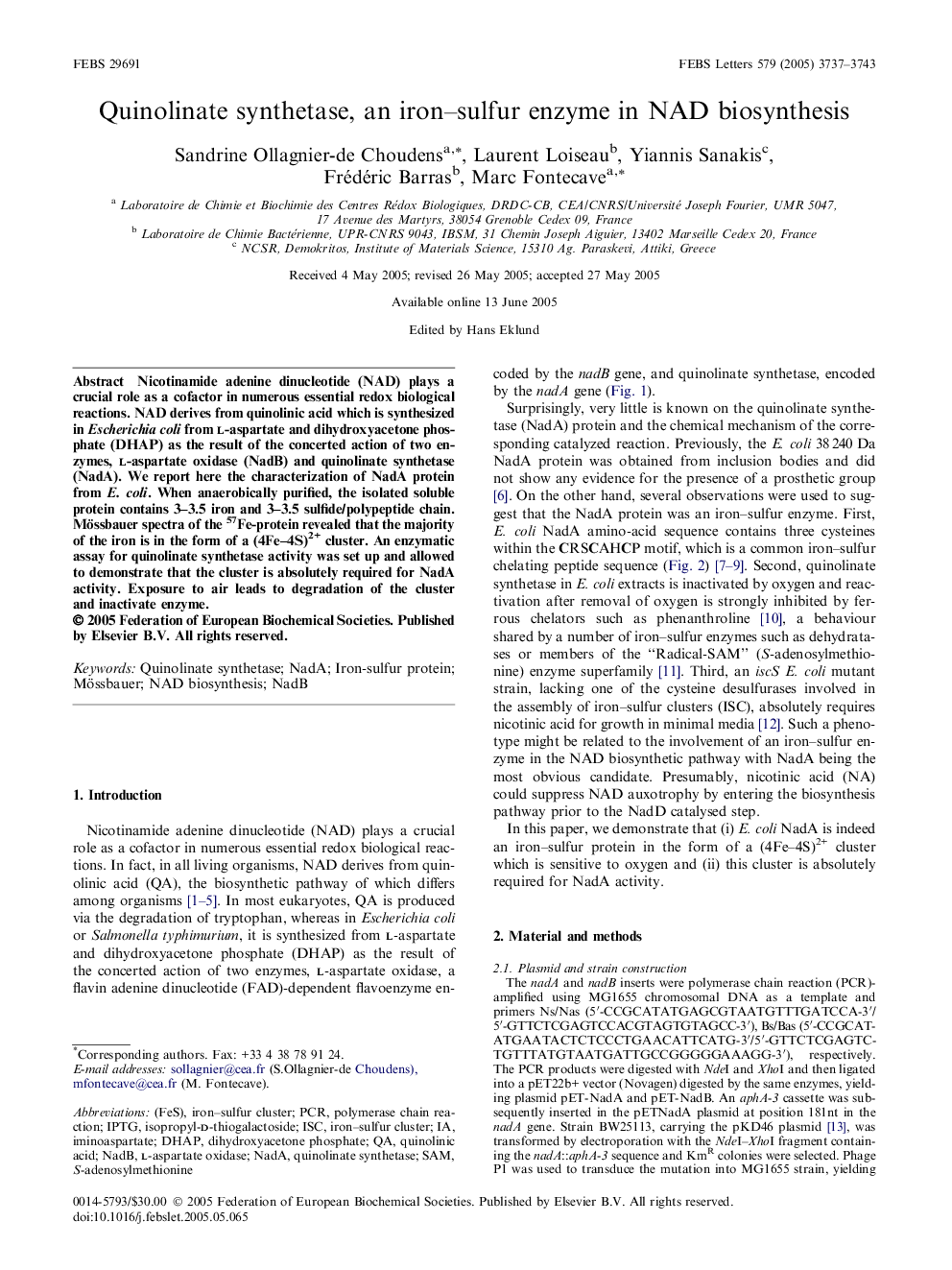 Quinolinate synthetase, an iron–sulfur enzyme in NAD biosynthesis