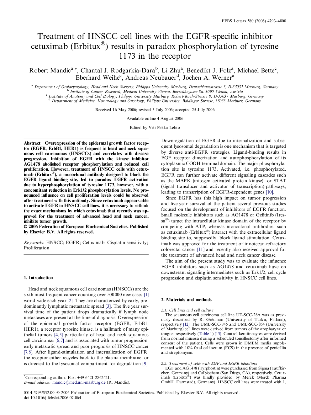 Treatment of HNSCC cell lines with the EGFR-specific inhibitor cetuximab (Erbitux®) results in paradox phosphorylation of tyrosine 1173 in the receptor