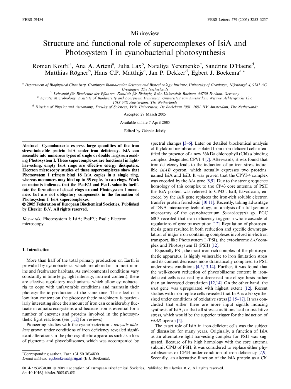 Structure and functional role of supercomplexes of IsiA and Photosystem I in cyanobacterial photosynthesis