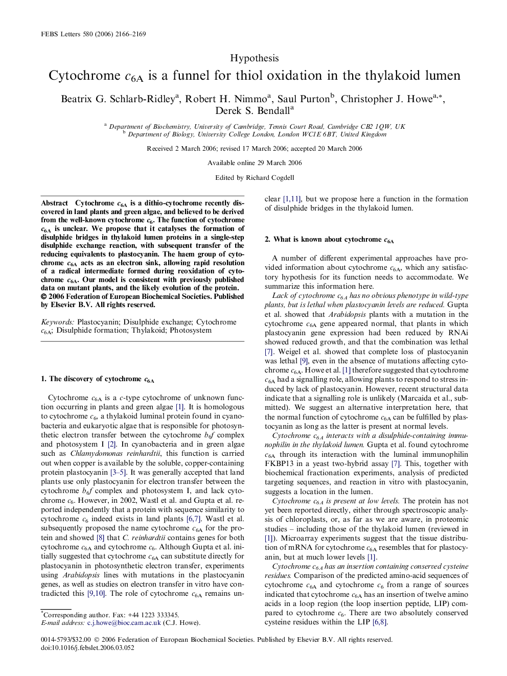 Cytochrome c6A is a funnel for thiol oxidation in the thylakoid lumen