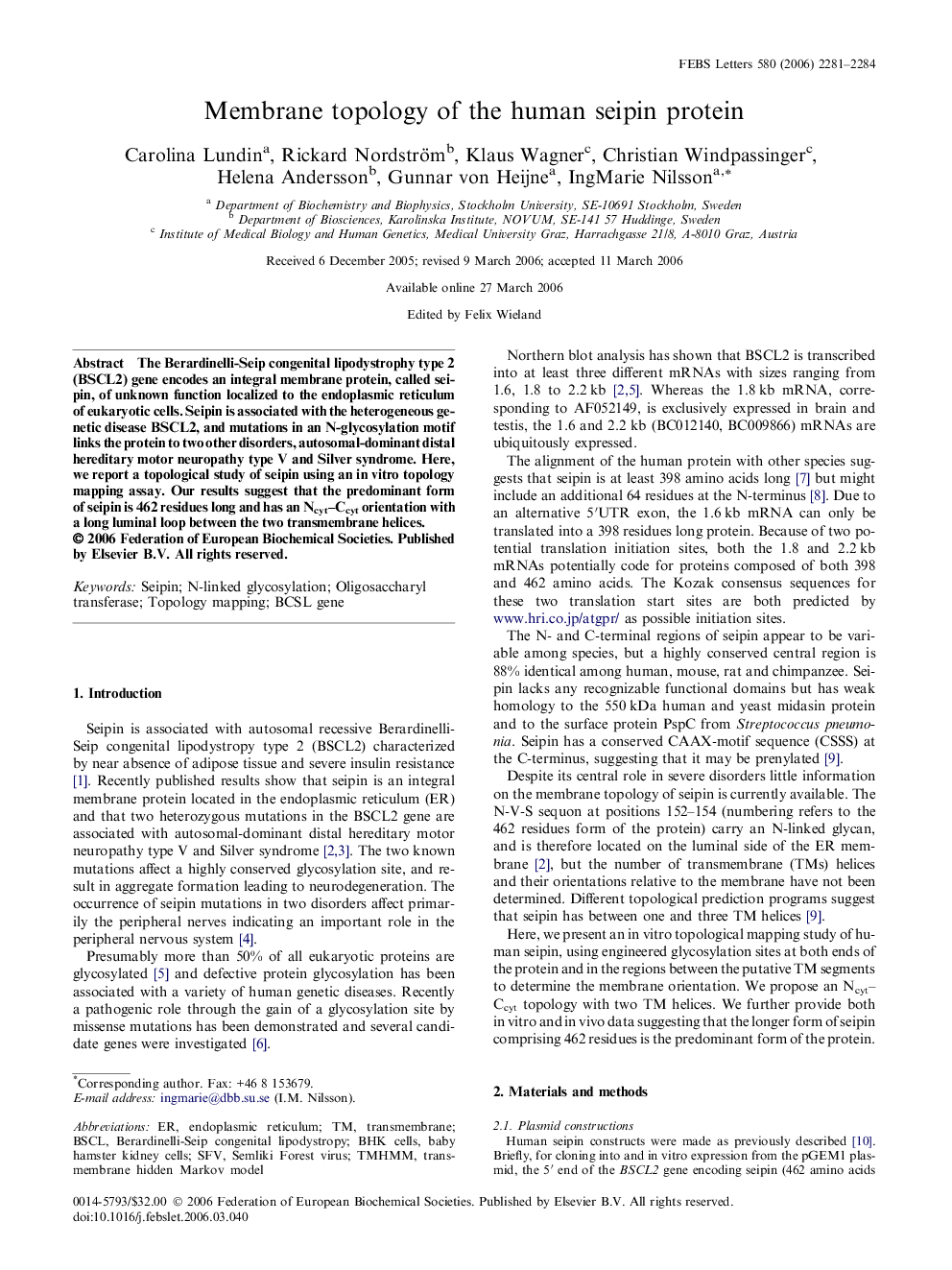 Membrane topology of the human seipin protein