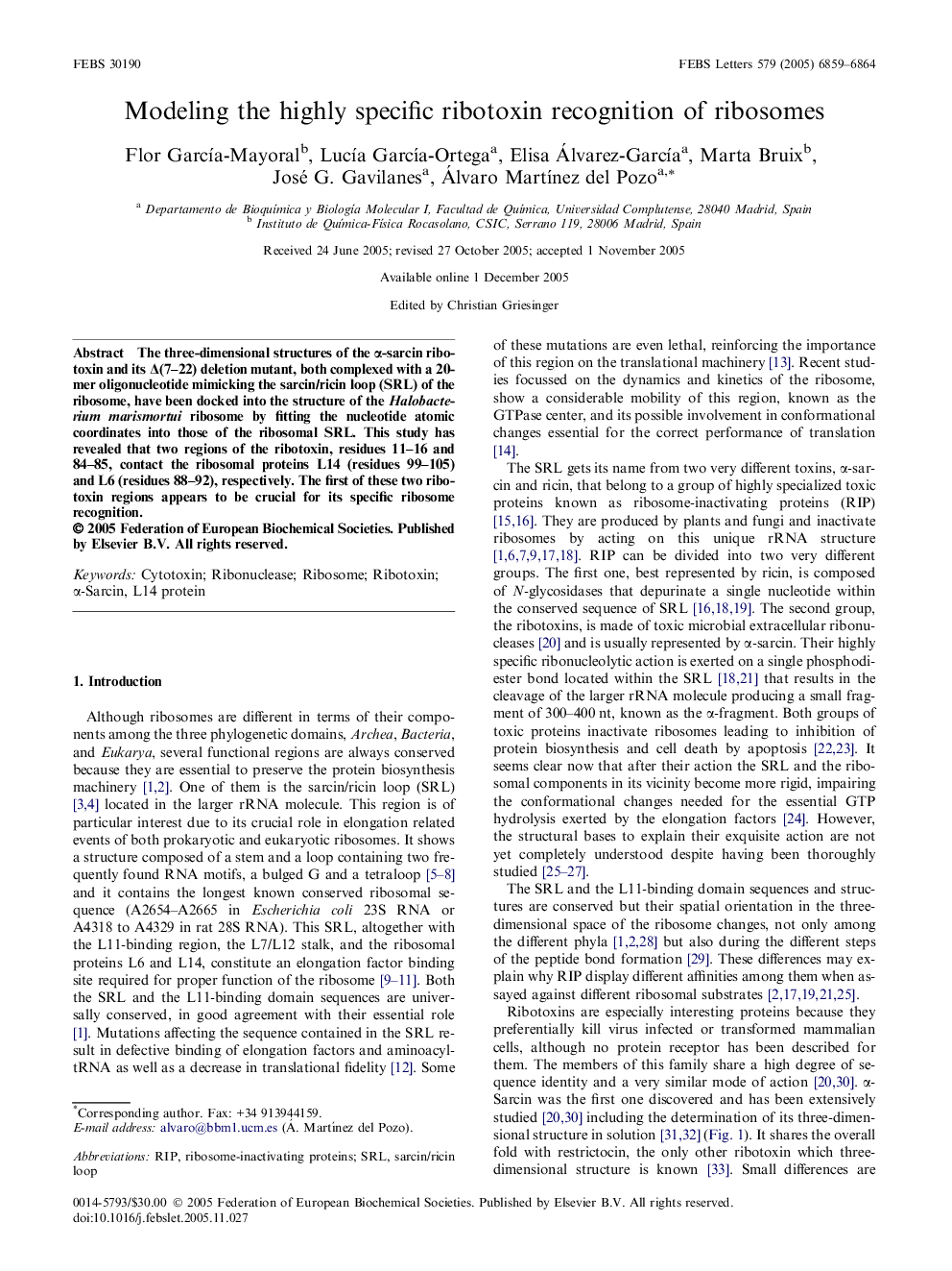 Modeling the highly specific ribotoxin recognition of ribosomes